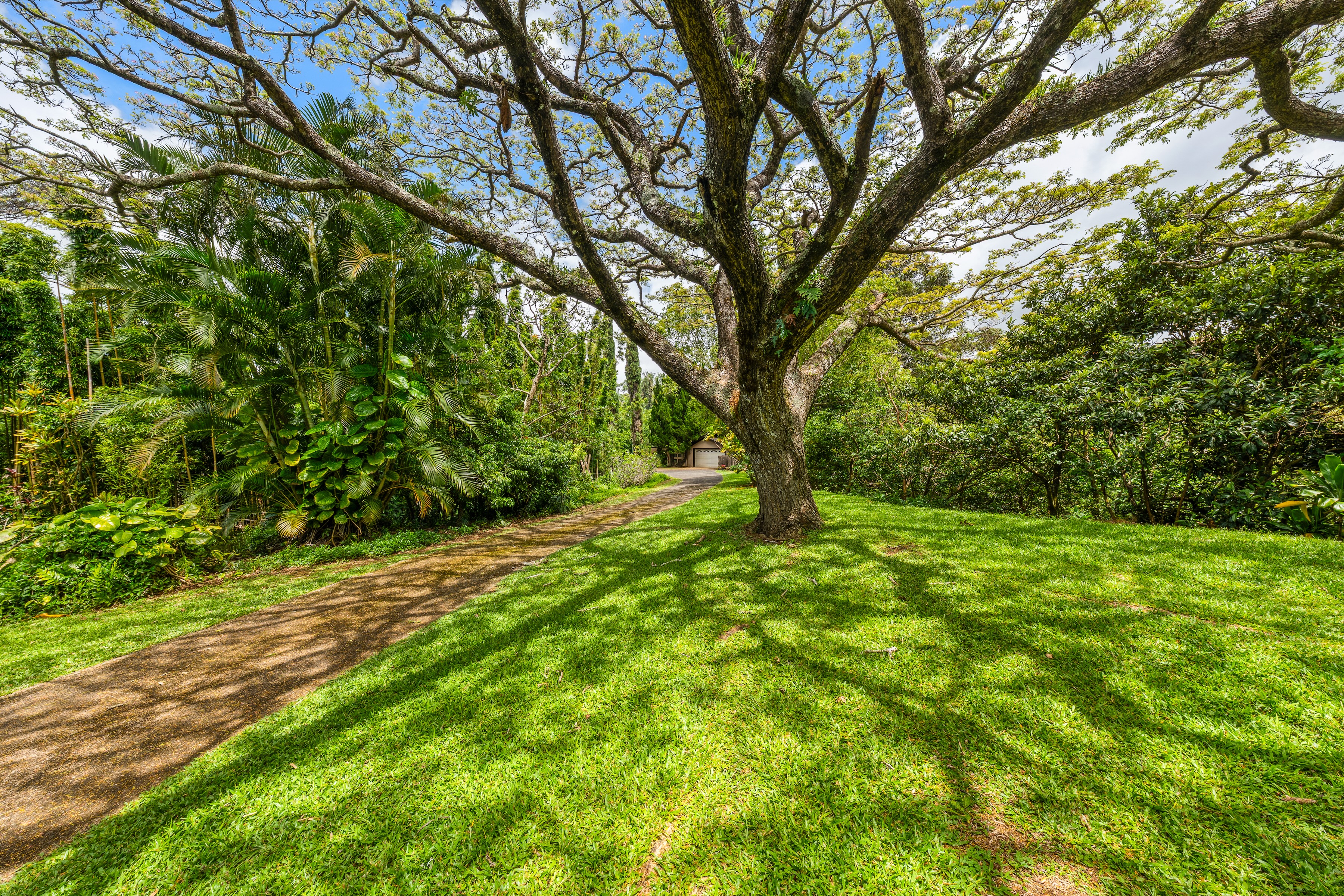  Architectural Haiku Retreat on Nearly 10 Private Acres - 物件實景