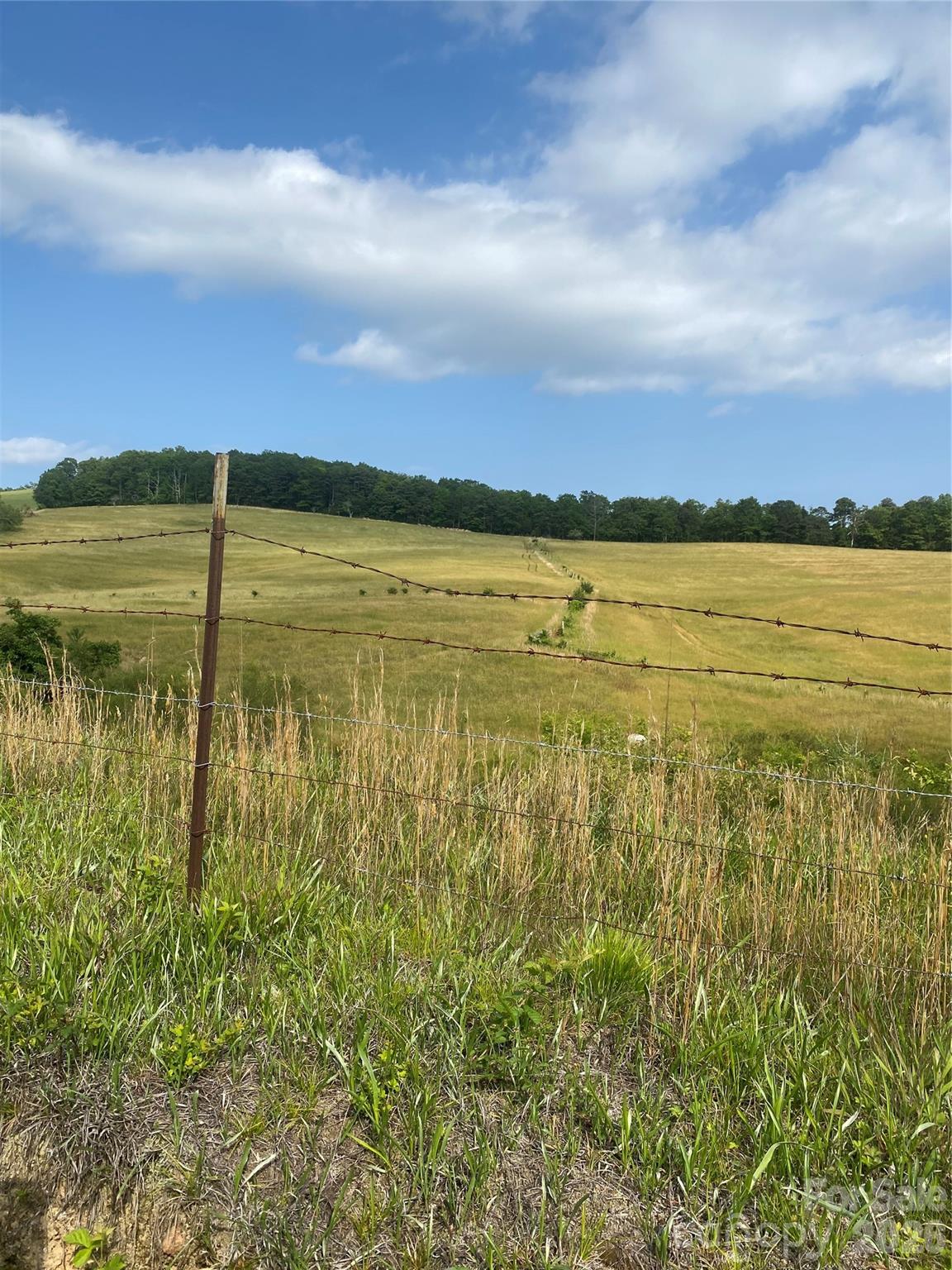 Hendersonville, North Carolina, 28792, United States, ,Land,For Sale,2010421