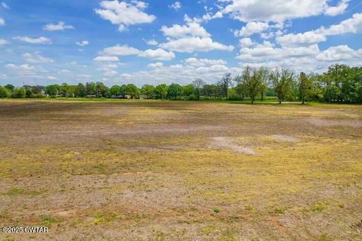 Brownsville, Tennessee, 38012, United States, ,Land,For Sale,1894803