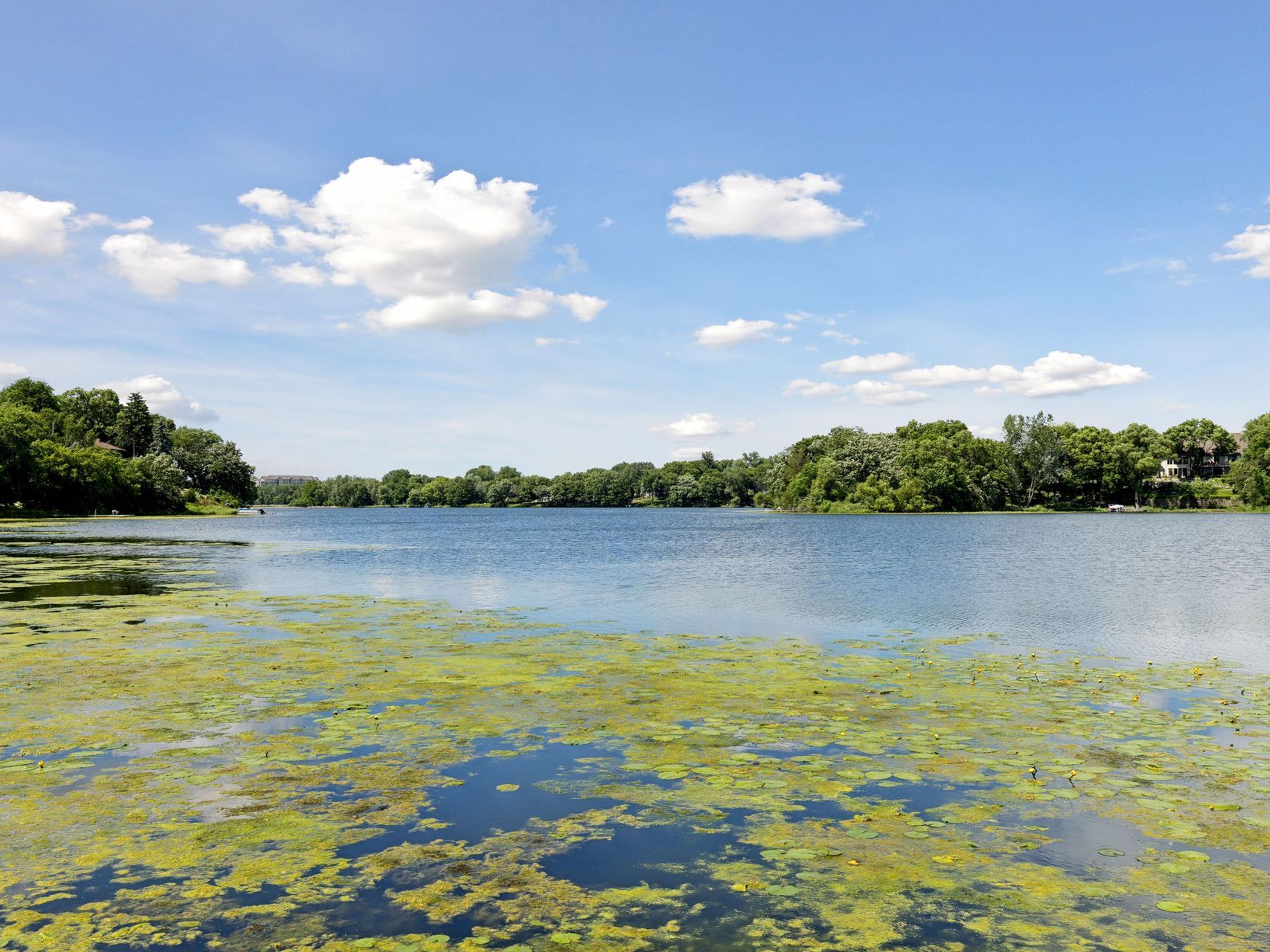  Private Peninsula Living with Panoramic Lake Views - 物件實景
