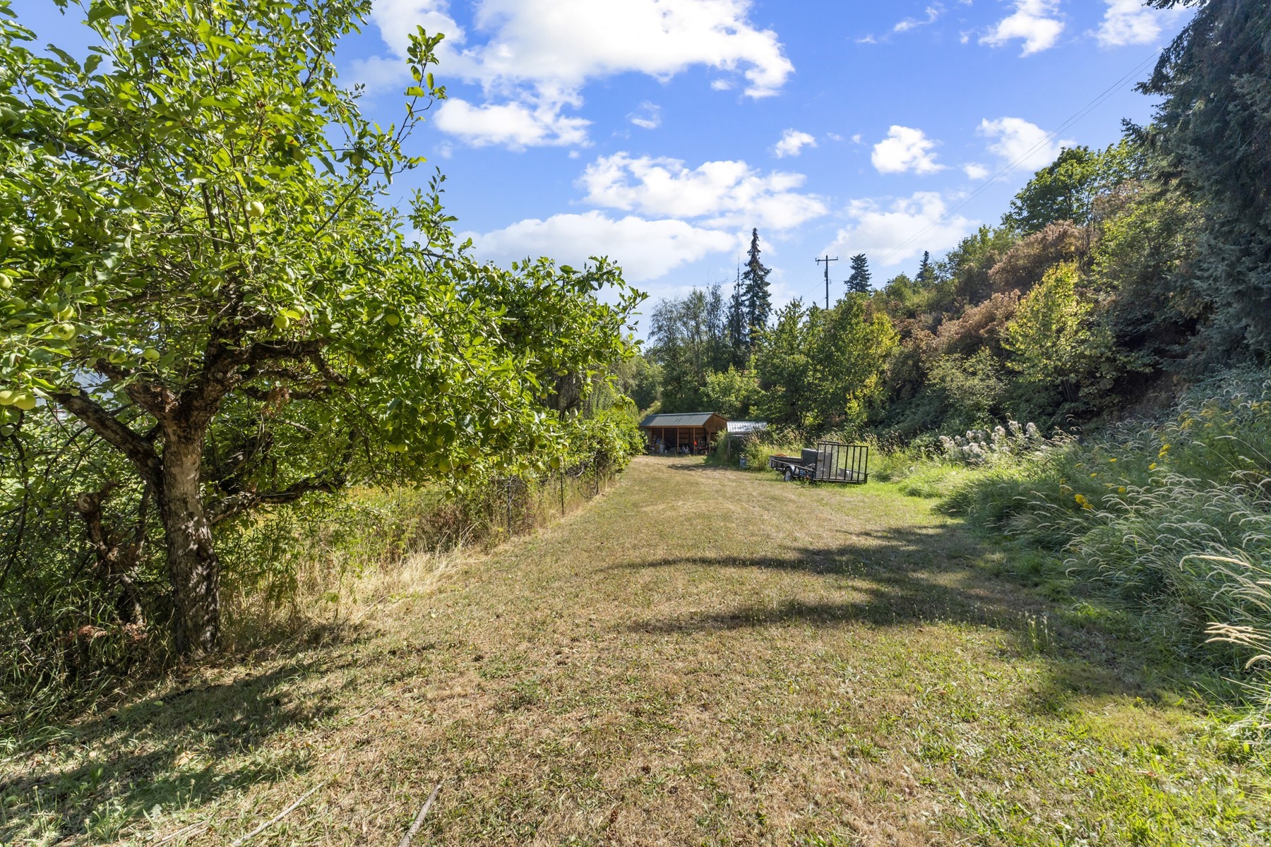  2331 Kootenai Ave - 物件實景