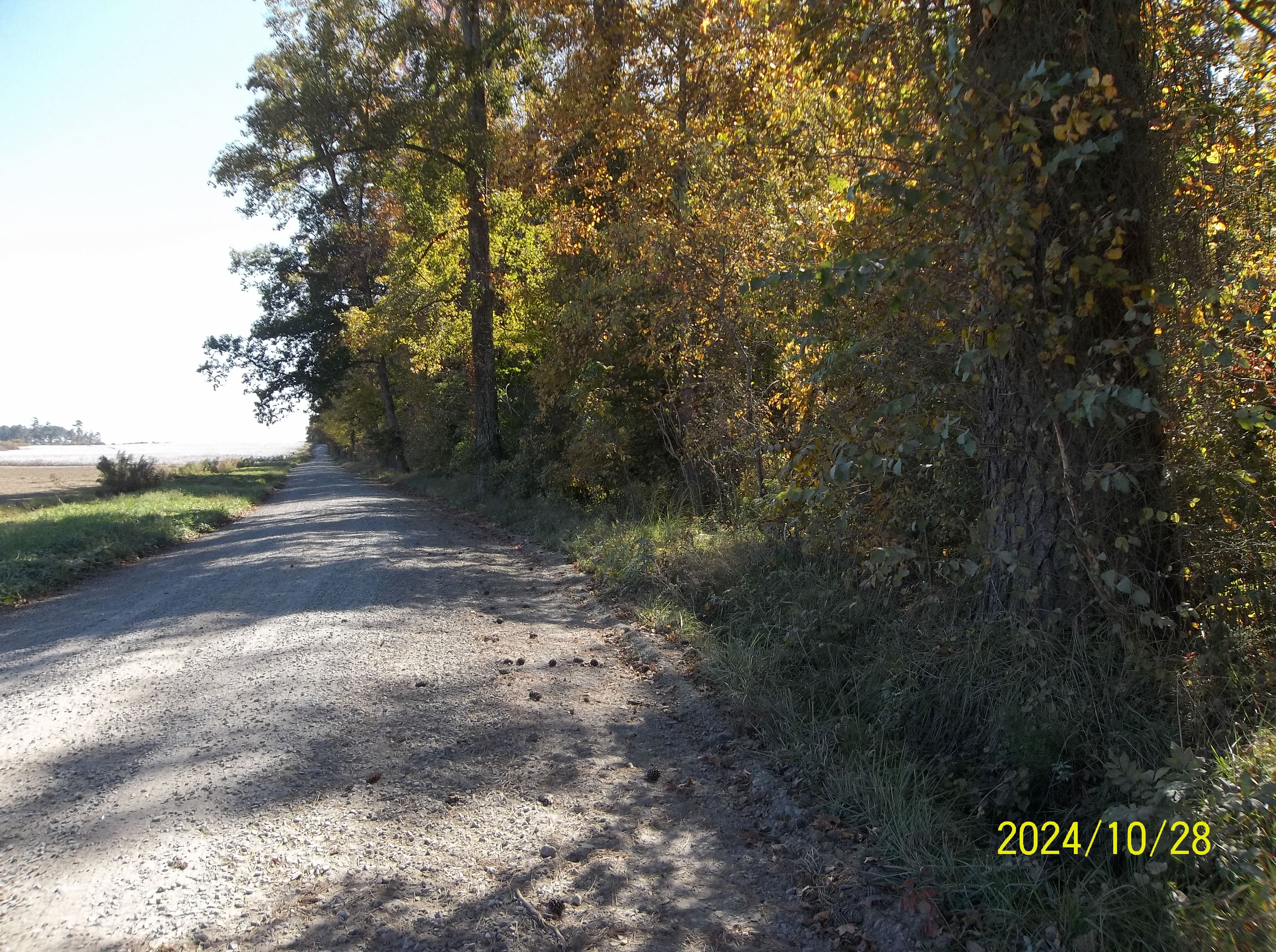 Drewryville, Virginia, 23844, United States, ,Residential,For Sale,1924271