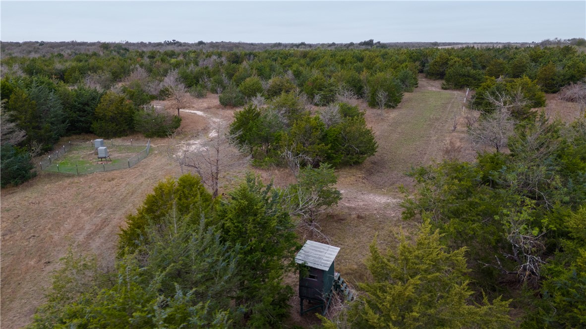 Thornton, Texas, 76687, United States, ,Land,For Sale,2003074
