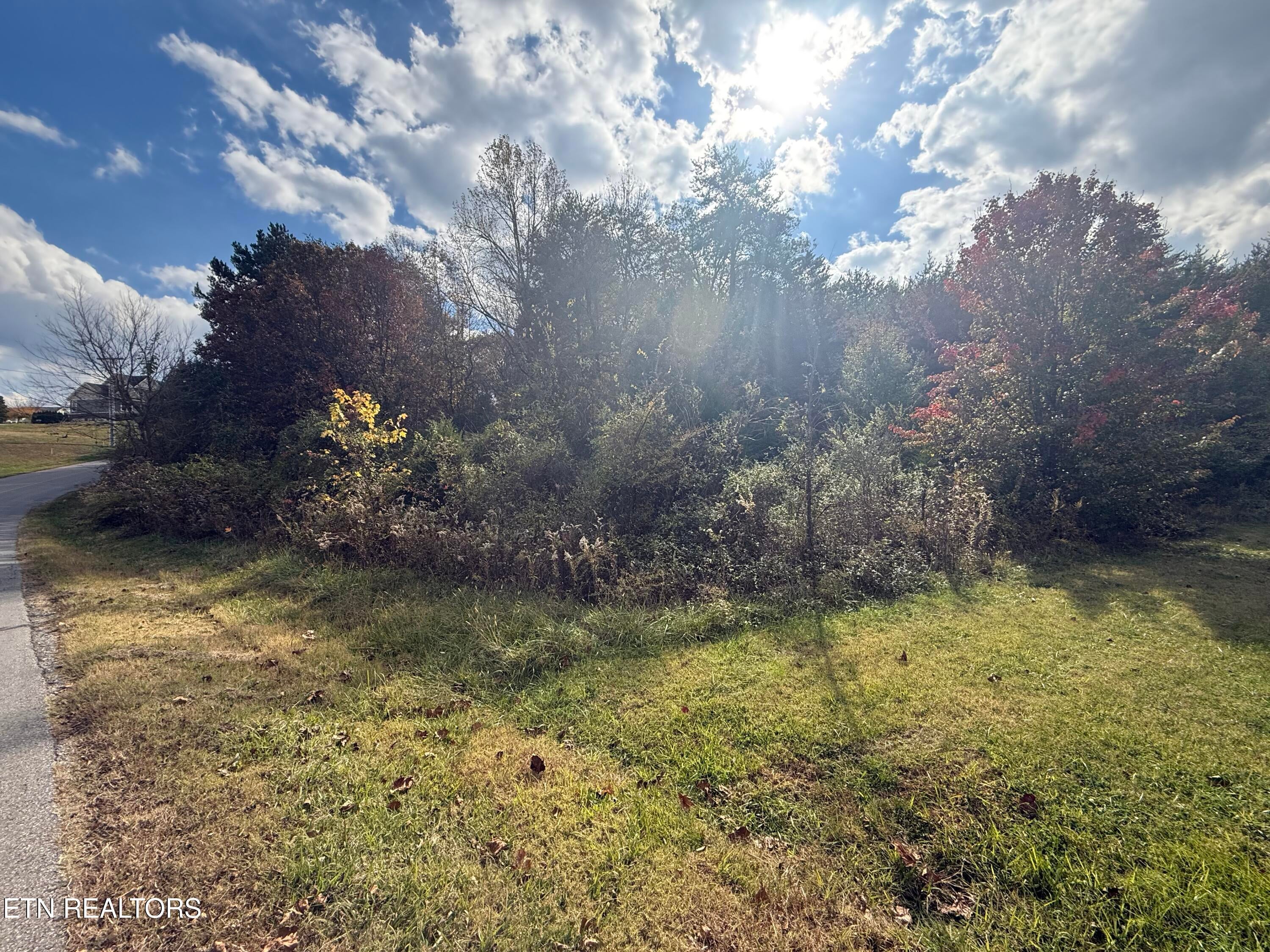 Maryville, Tennessee, 37801, United States, ,Land,For Sale,1989210