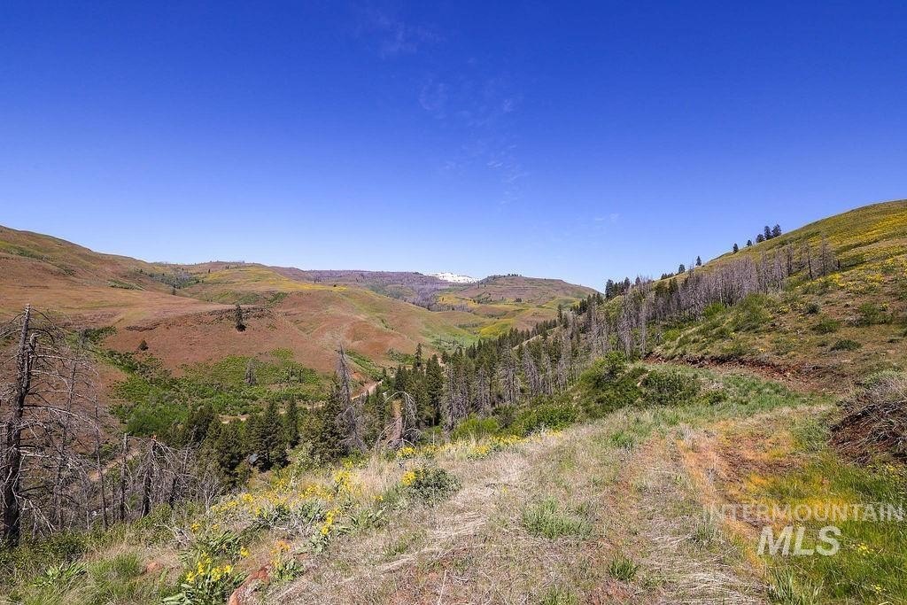 Council, Idaho, 83612, United States, ,Residential,For Sale,1862004
