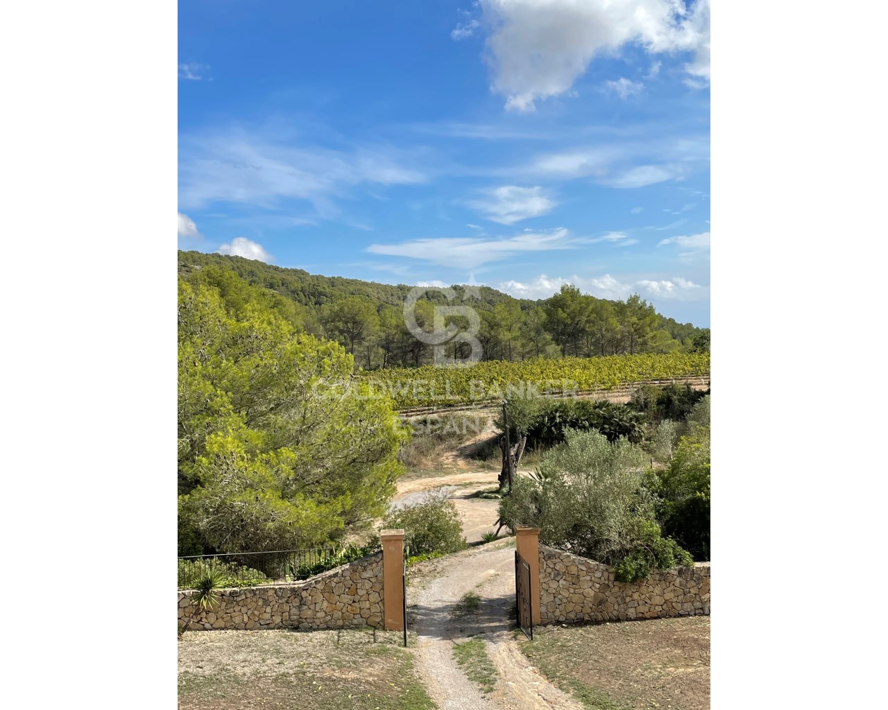 Barcelona, Vilanova i la Geltr?, Nord Barcelona, V, Vilanova i la Geltrú, Catalonia, ES, 18 Bedrooms Bedrooms, ,15 BathroomsBathrooms,Residential,For Sale,Barcelona, Vilanova i la Geltr?, Nord Barcelona, V,1448894