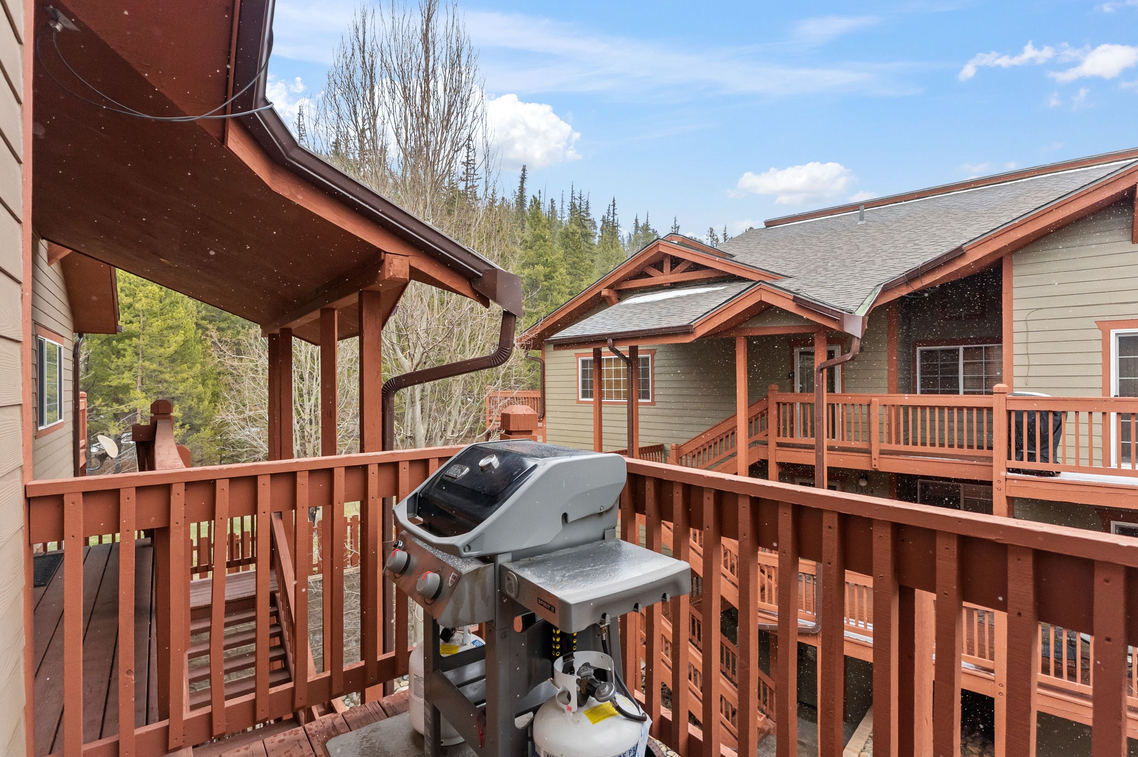 163 Pelican Circle, Breckenridge, CO, 80424 - 物件實景