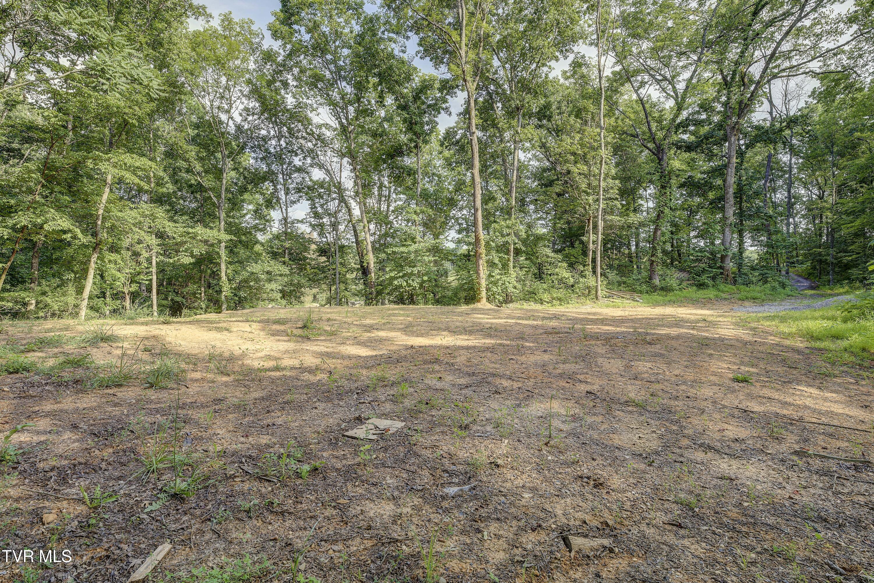 Piney Flats, Tennessee, 37686, United States, ,Land,For Sale,1983828