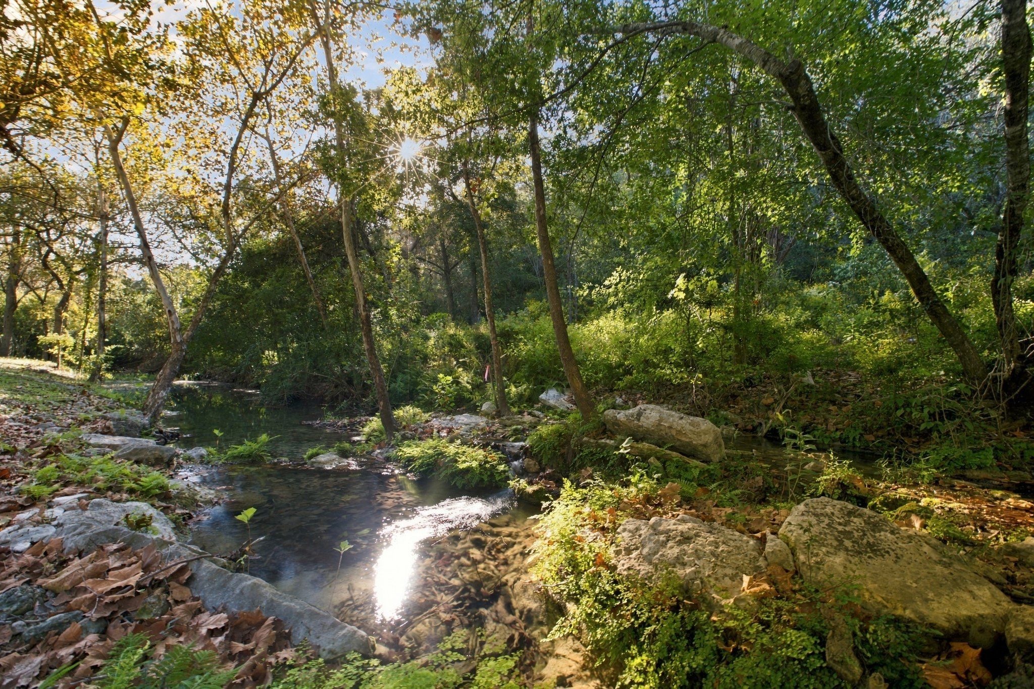  Private acreage in The Estates of Barton Creek - 物件實景