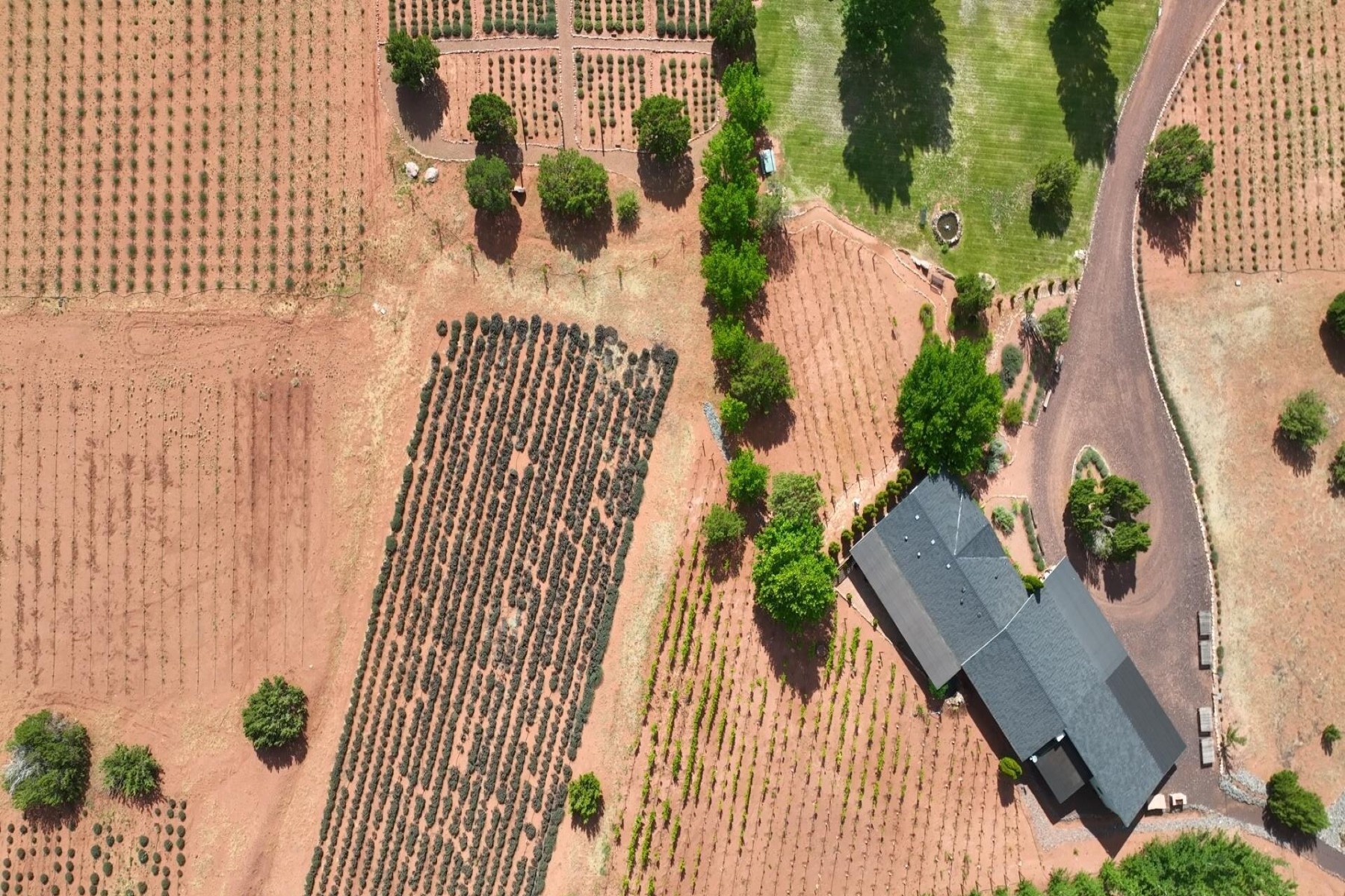  14 County Road 5309, Concho, AZ 85924 - 物件實景