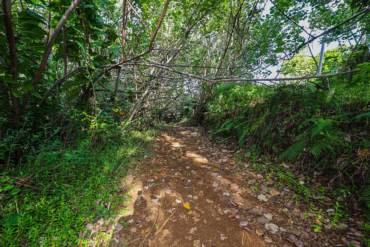 6828-B KUAMOO RD 2, Kapaa, Hawaii, 96746, United States, ,Land,For Sale,6828-B KUAMOO RD 2,1672725