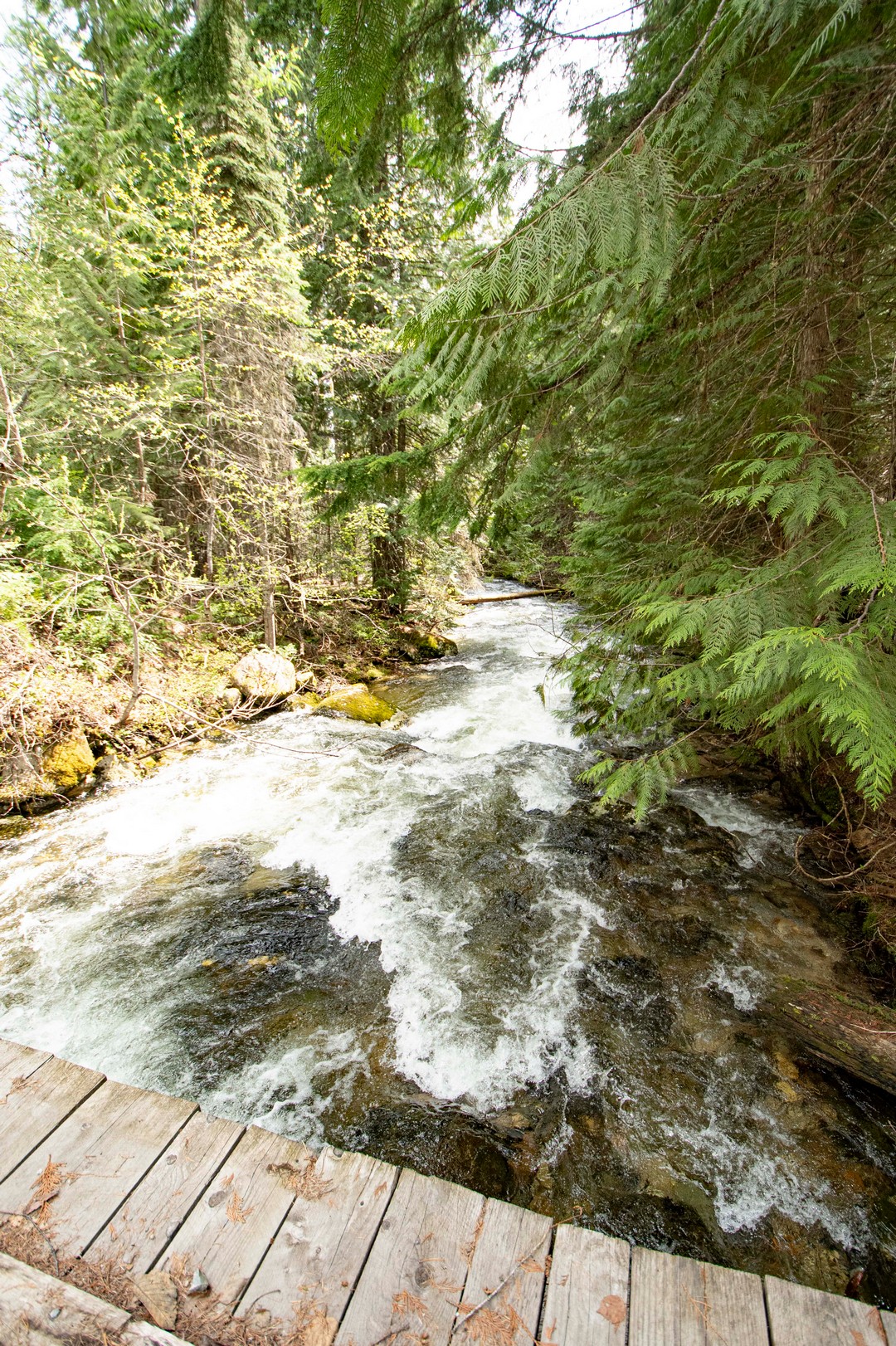 Naples, Idaho, 83847, United States, 2 Bedrooms Bedrooms, ,1 BathroomBathrooms,Residential,For Sale,1979957