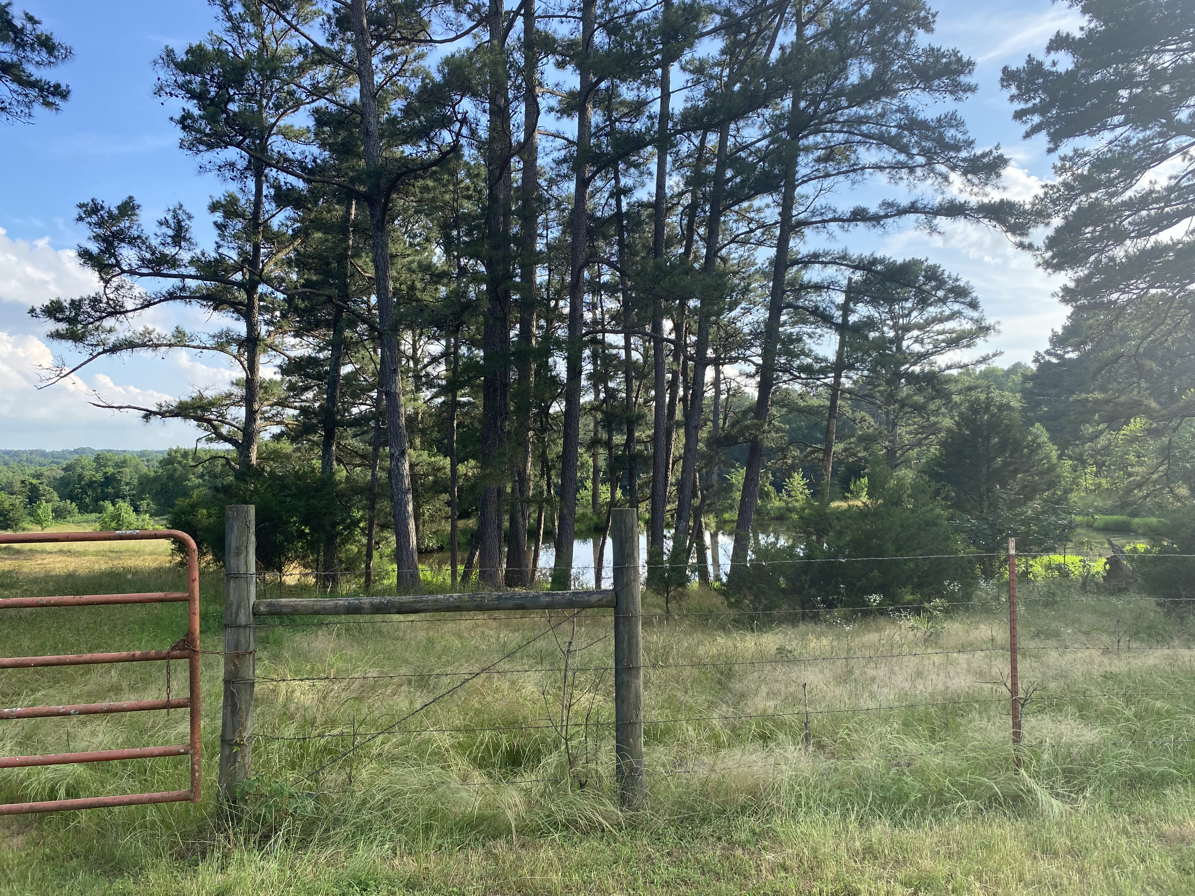 Clarksville, Arkansas, 72830, United States, 7 Bedrooms Bedrooms, ,3 BathroomsBathrooms,Residential,For Sale,2005713