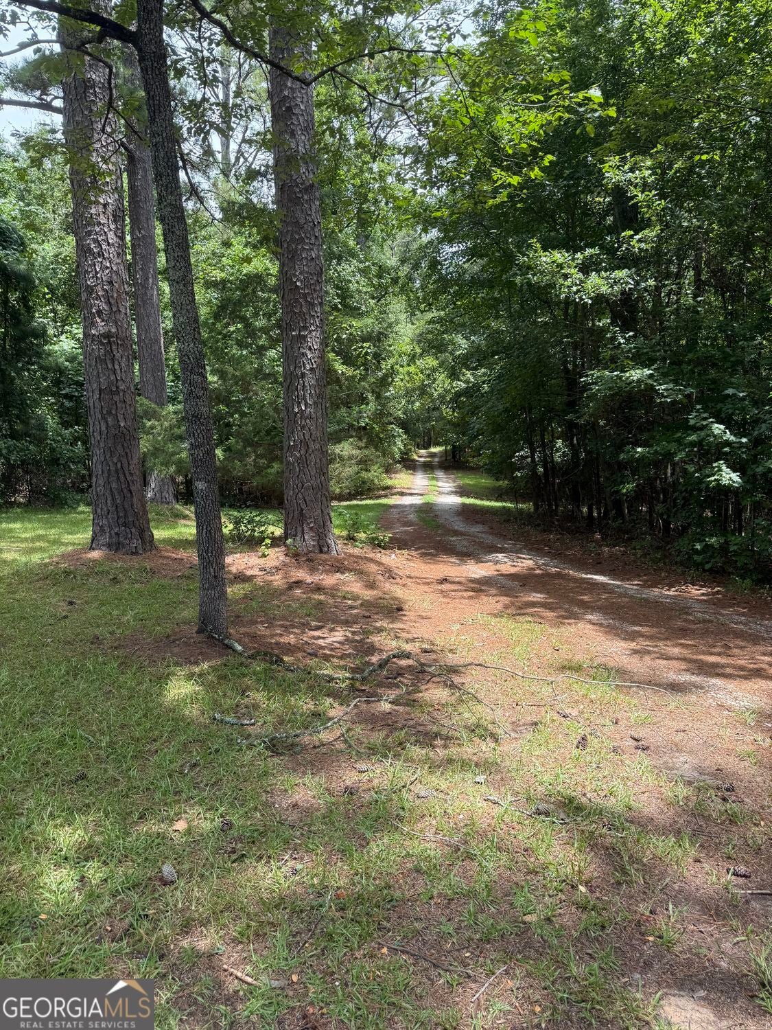 Covington, Georgia, 30014, United States, ,Land,For Sale,2009362