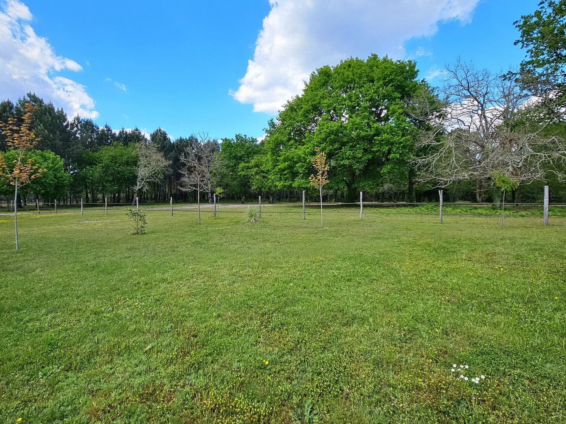 Sanguinet, New Aquitaine, 40460, FR, 5 Bedrooms Bedrooms, ,3 BathroomsBathrooms,Residential,For Sale,1793699