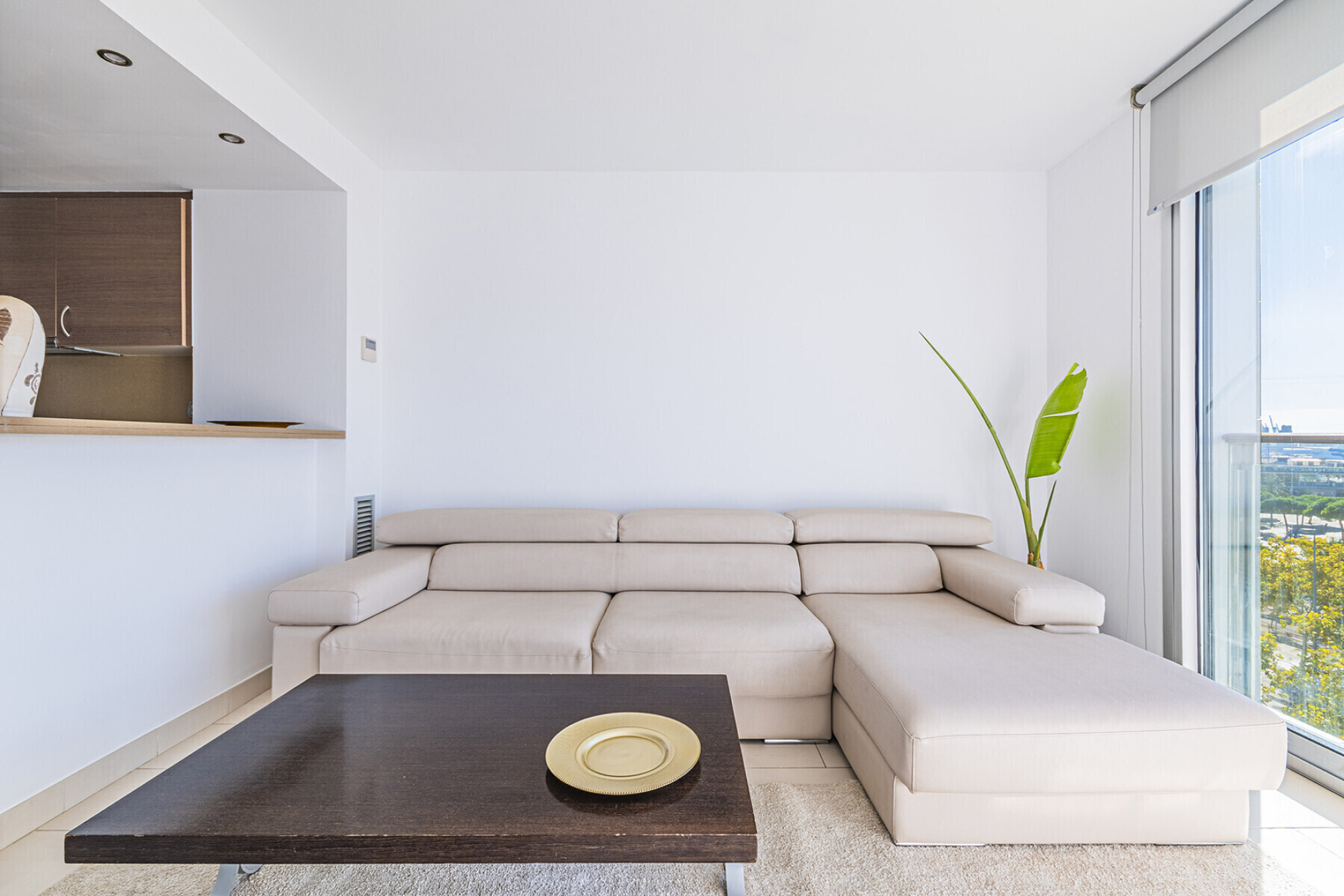  Penthouse with private terrace and sea views - 物件實景