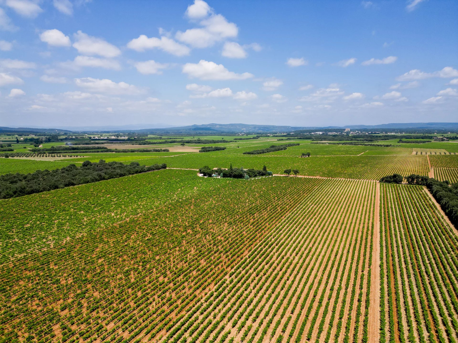 Sainte-Cécile-les-Vignes, Provence-Alpes-Côte d’Azur, 84290, FR, ,Residential,For Sale,2000724