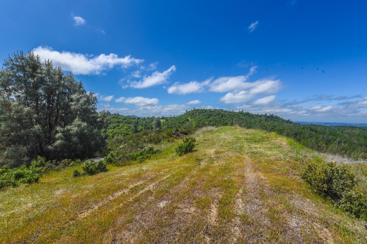 15880 Parkridge Avenue, Sonora, California, 95370, United States, ,Land,For Sale,15880 Parkridge Avenue,1432532