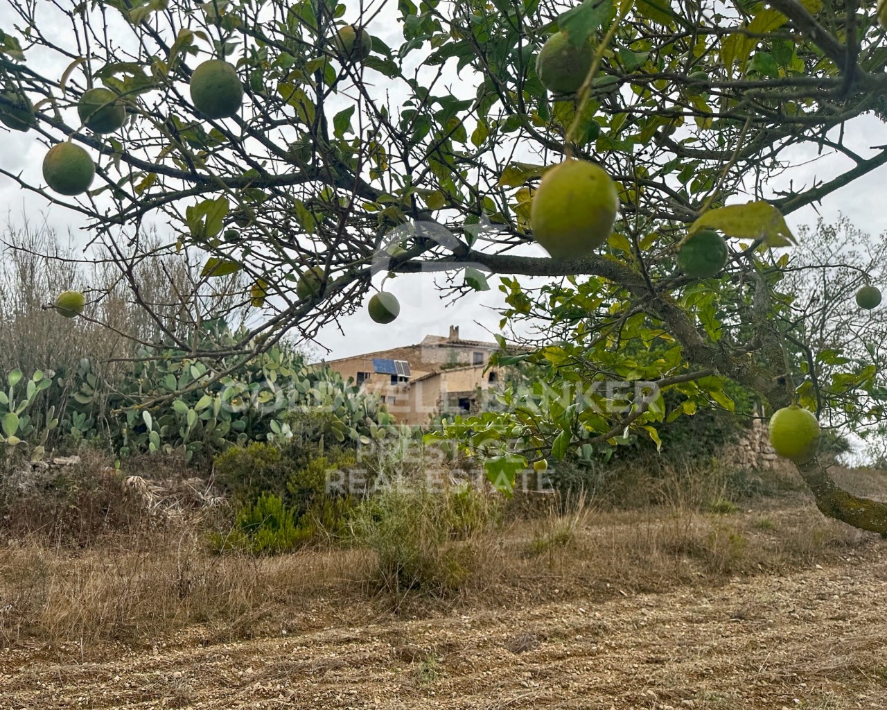 Mallorca, Art?, Art? Mallorca, Art?, Art? Mallorca, Artà, Balearic Islands, 07570, ES, 5 Bedrooms Bedrooms, ,2 BathroomsBathrooms,Residential,For Sale,Mallorca, Art?, Art? Mallorca, Art?, Art? Mallorca,1623997