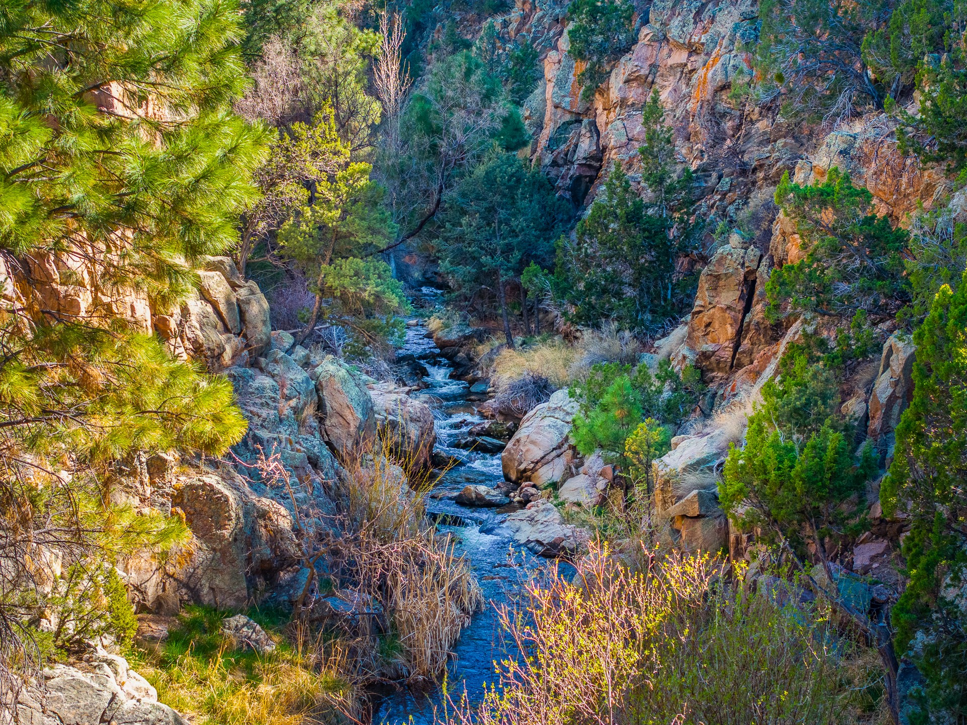  5.9 Acre Lot Camino Del Canon - 物件實景