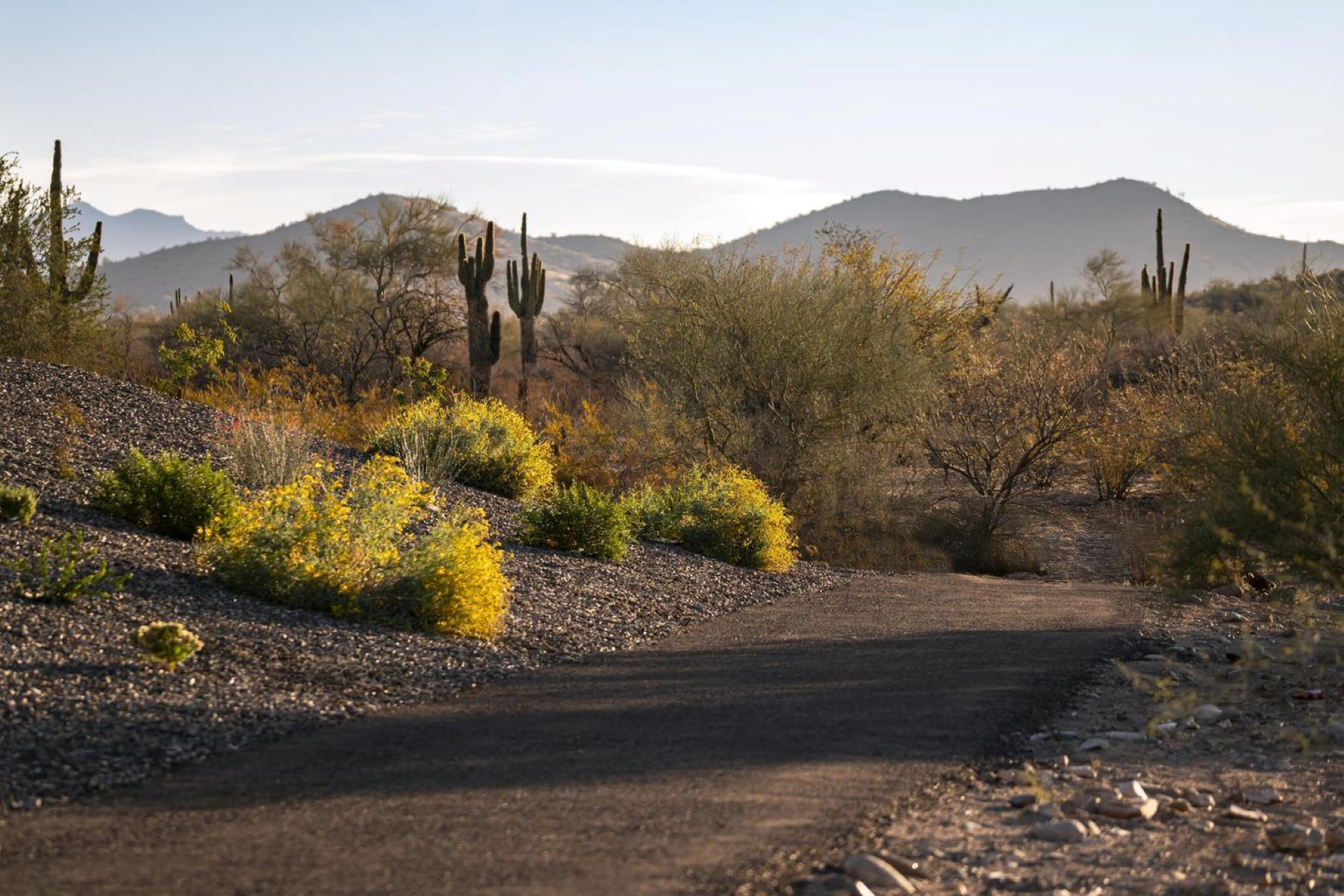  2121 W Sonoran Desert Drive  Phoenix, AZ - 物件實景