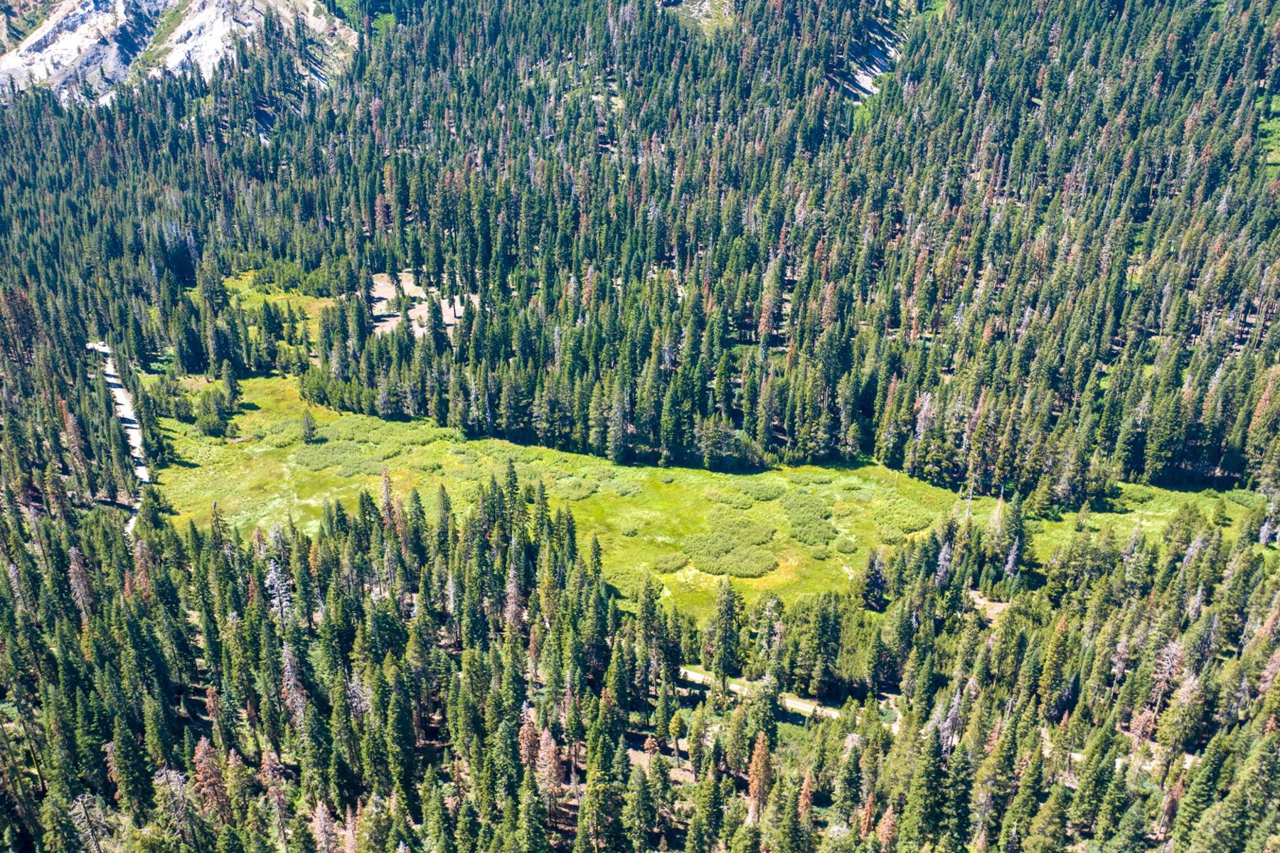  80 Acres of Pristine Land in the Middle of Plumas Eureka State Park - 物件實景