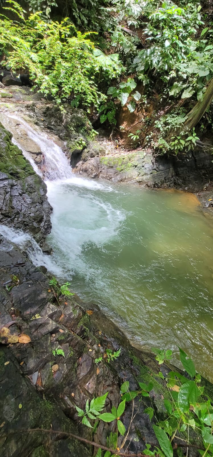 Lot 78, Cinco Ventanas, Ojochal, Ojochal, Puntarenas, CR, 4 Bedrooms Bedrooms, ,5 BathroomsBathrooms,Residential,For Sale,Lot 78, Cinco Ventanas, Ojochal,1621380