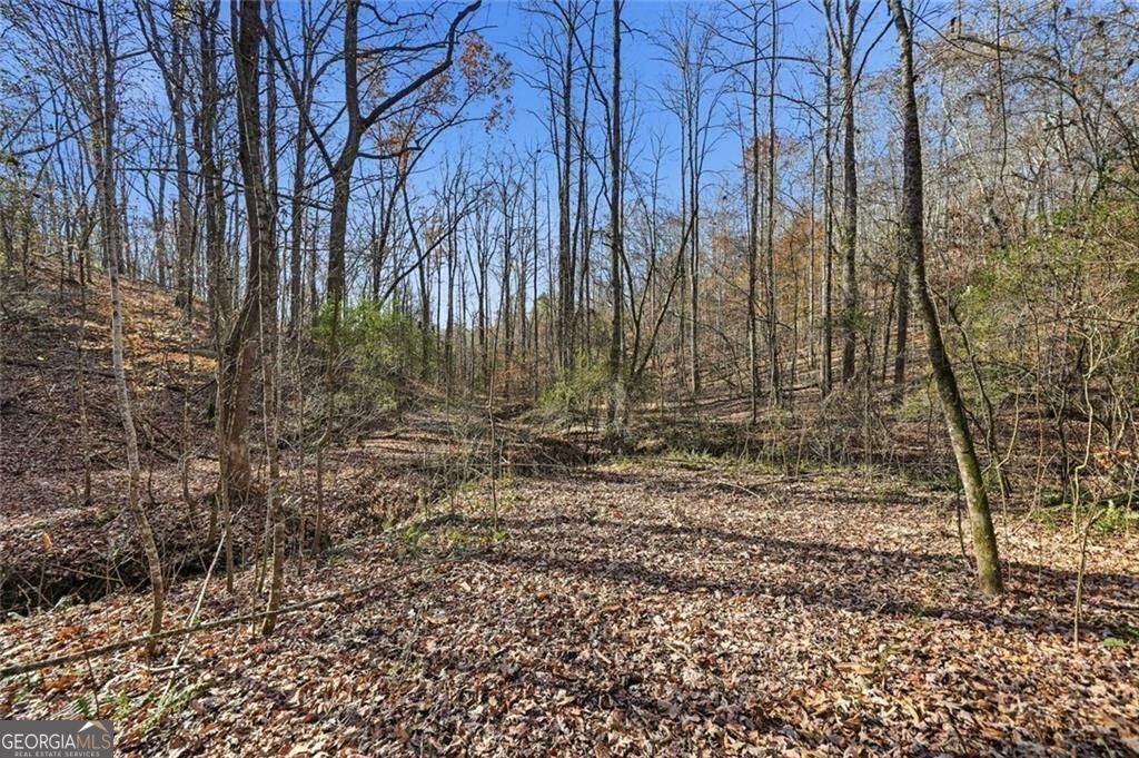 Jasper, Georgia, 30143, United States, ,Land,For Sale,1996551