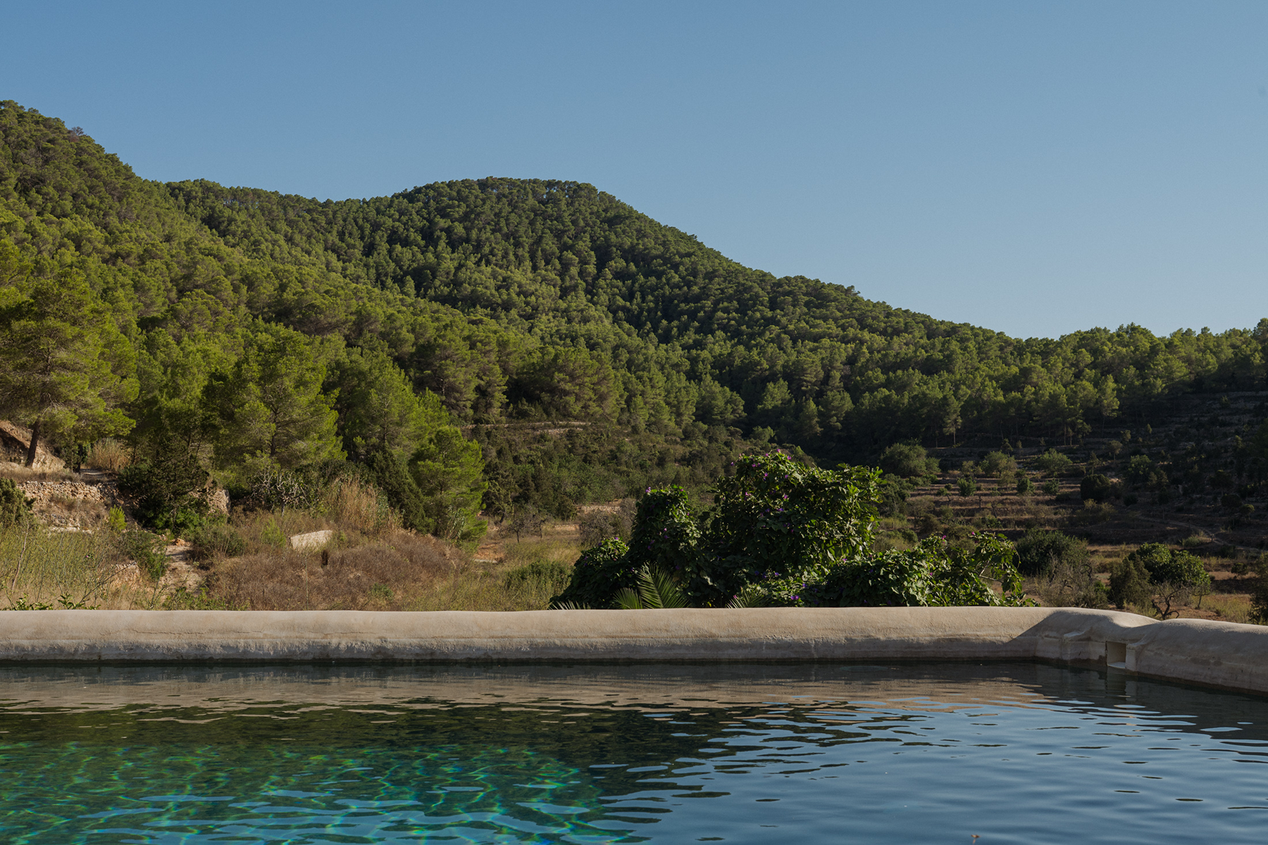  Rural Ibizan estate in Sant Josep, Ibiza - 物件實景