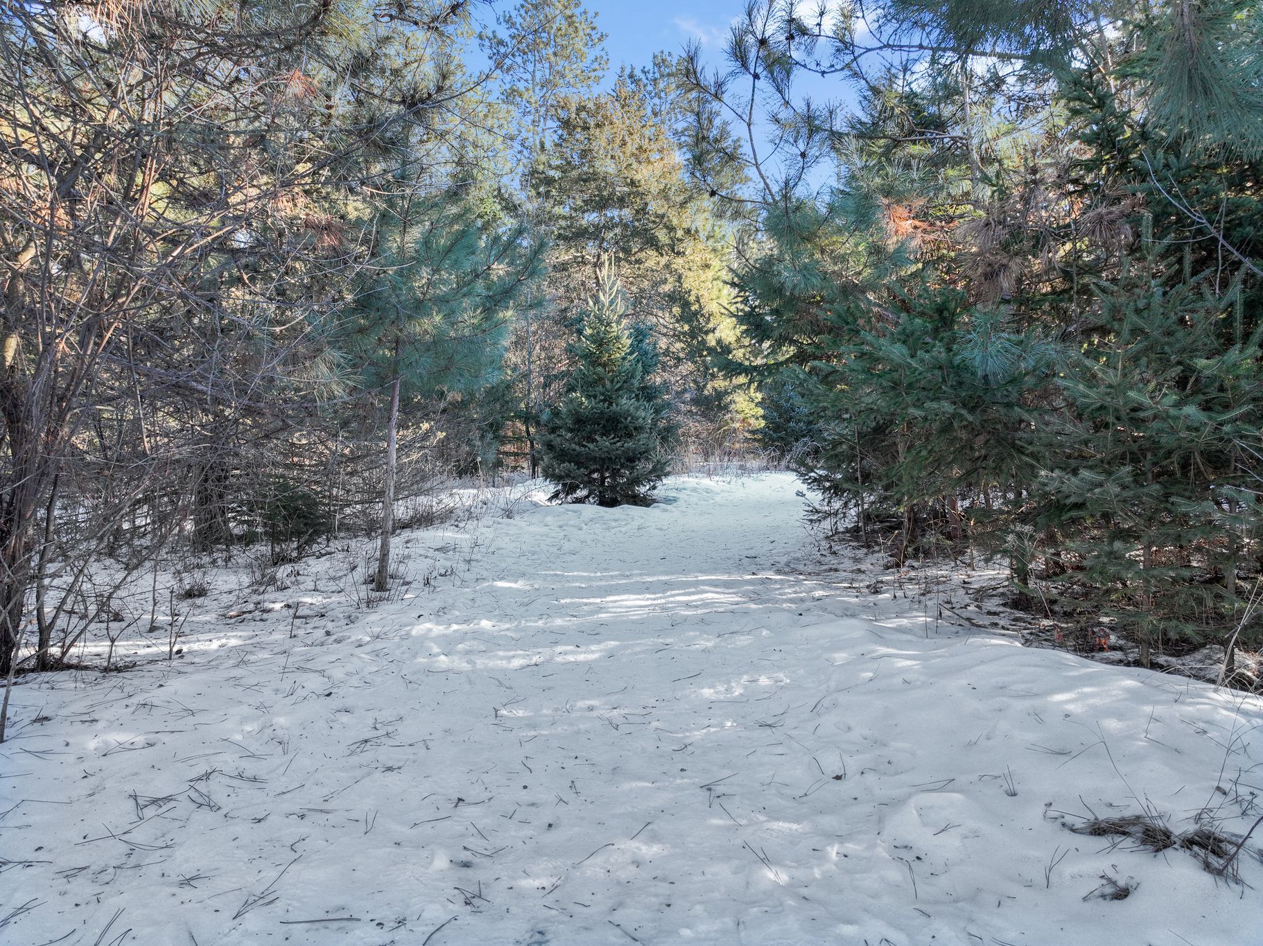  Private Saint Croix River Lot - 物件實景