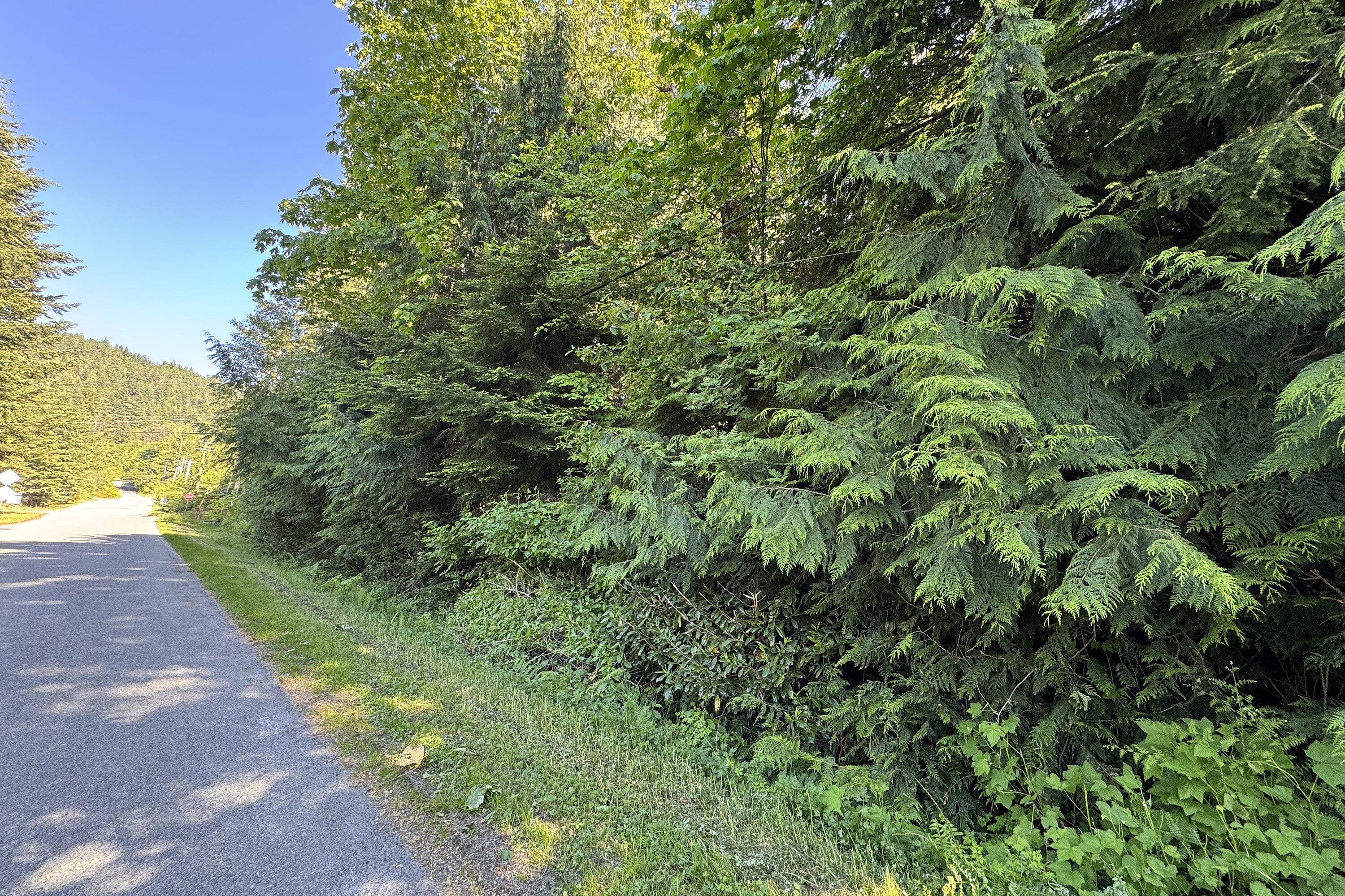  Sechelt, Sunshine Coast - 物件實景