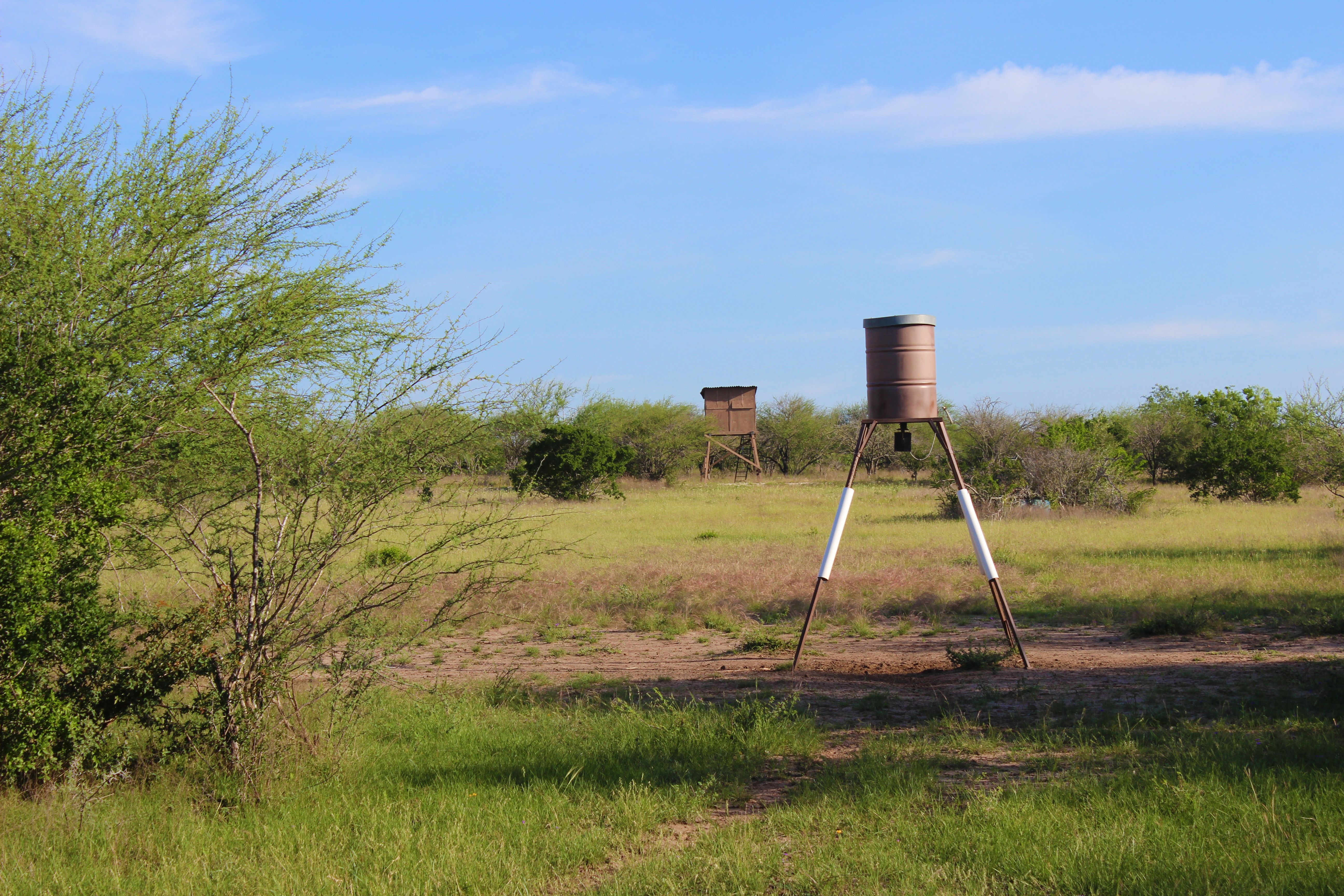  810+/- Acre Cabeza Creek Ranch - 物件實景