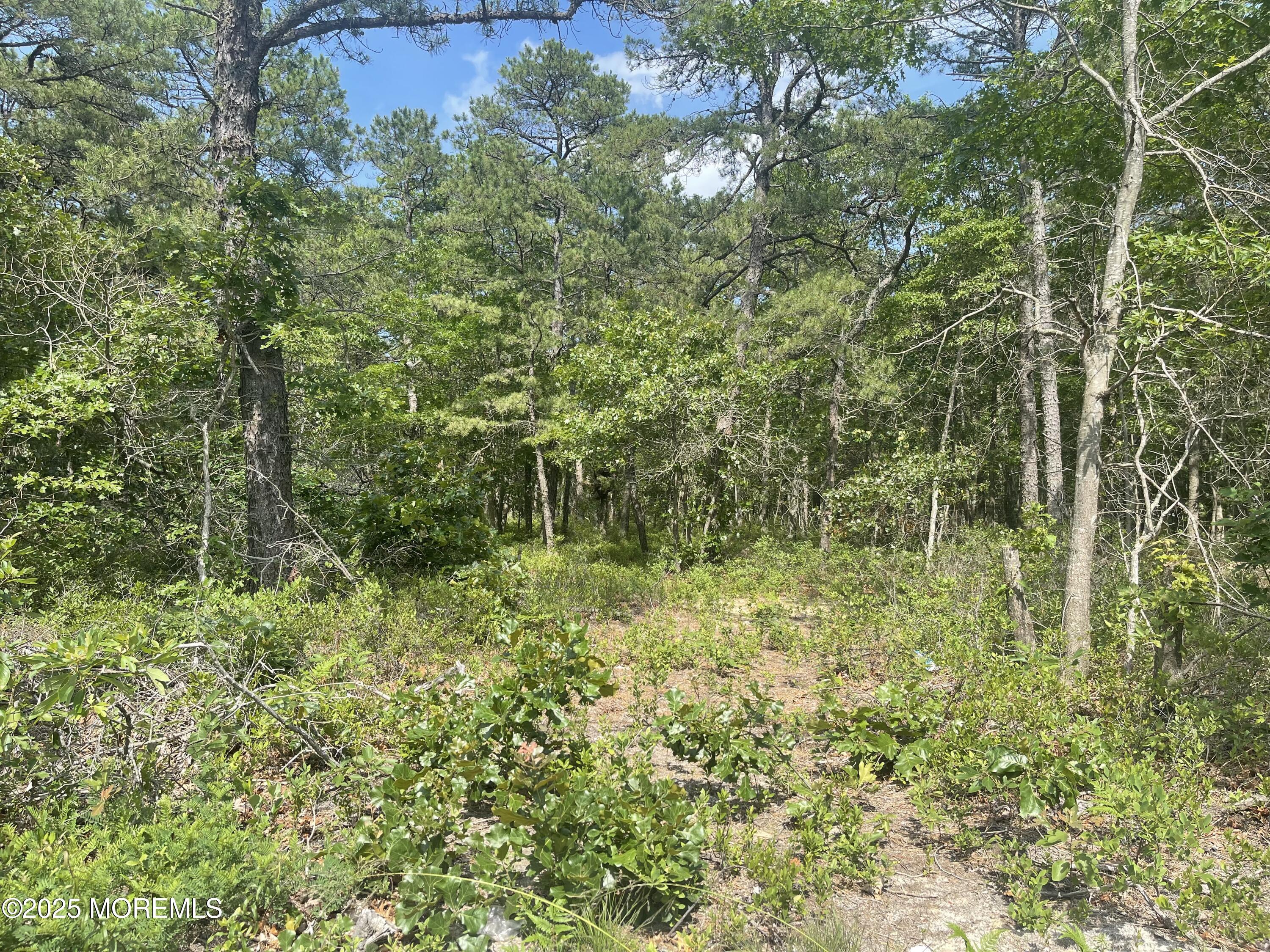 Little Egg Harbor, New Jersey, 08087, United States, ,Land,For Sale,1983965