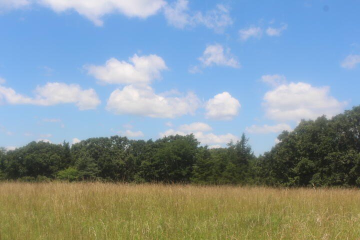 Polk, Missouri, 65727, United States, ,Land,For Sale,1980569