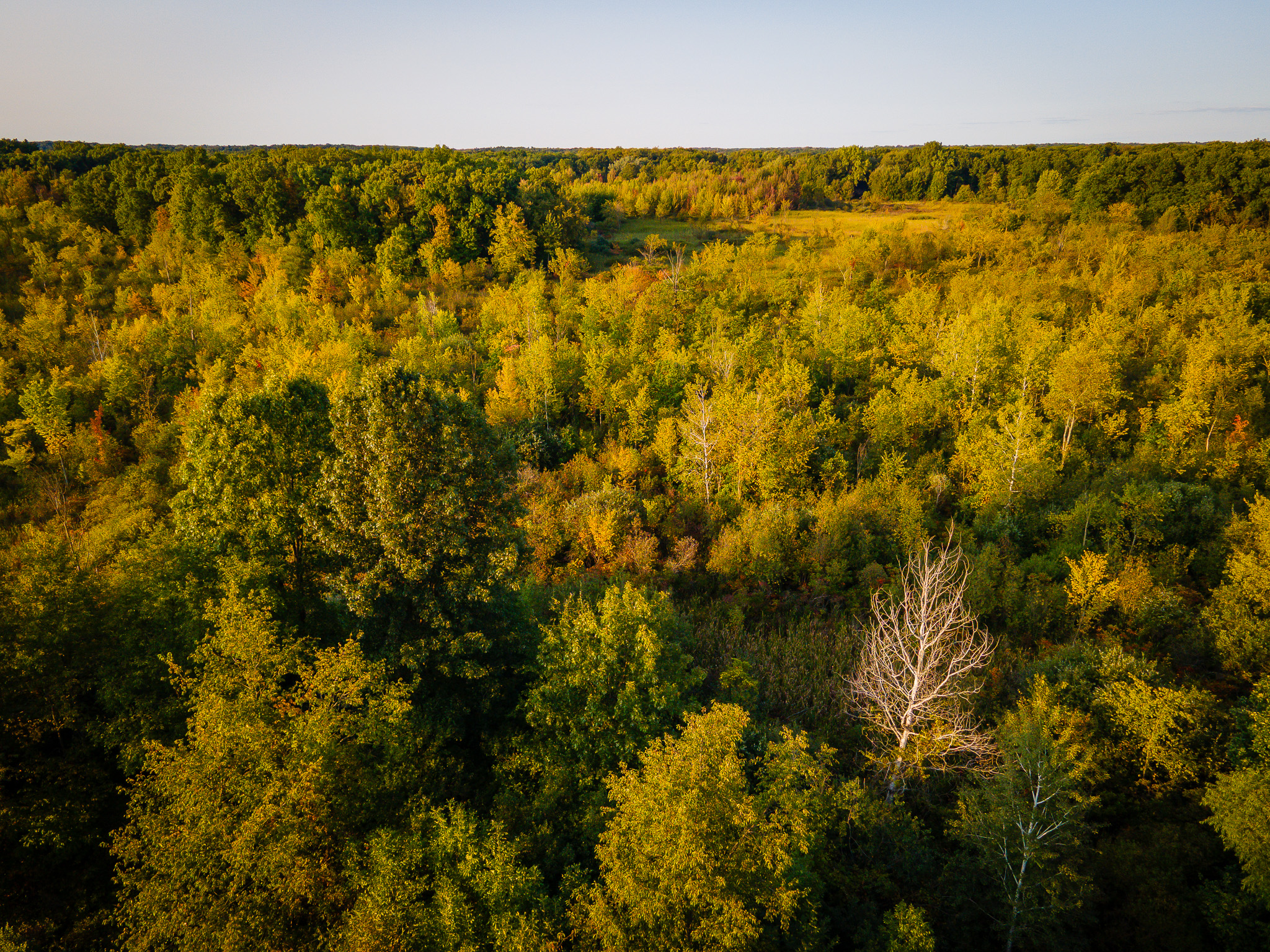 Jackson, Michigan, 49201, United States, 4 Bedrooms Bedrooms, ,2 BathroomsBathrooms,Residential,For Sale,1981022