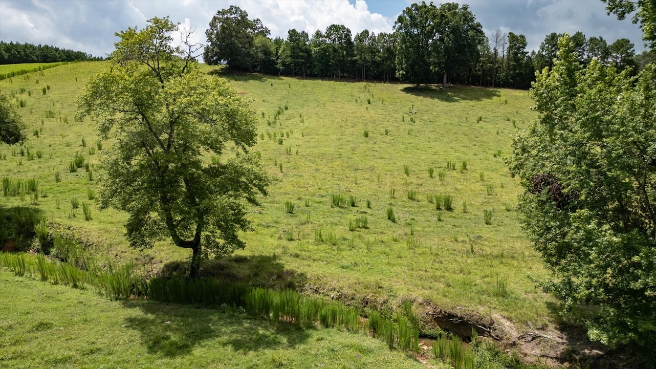 Heflin, Alabama, 36264, United States, ,Land,For Sale,1981342