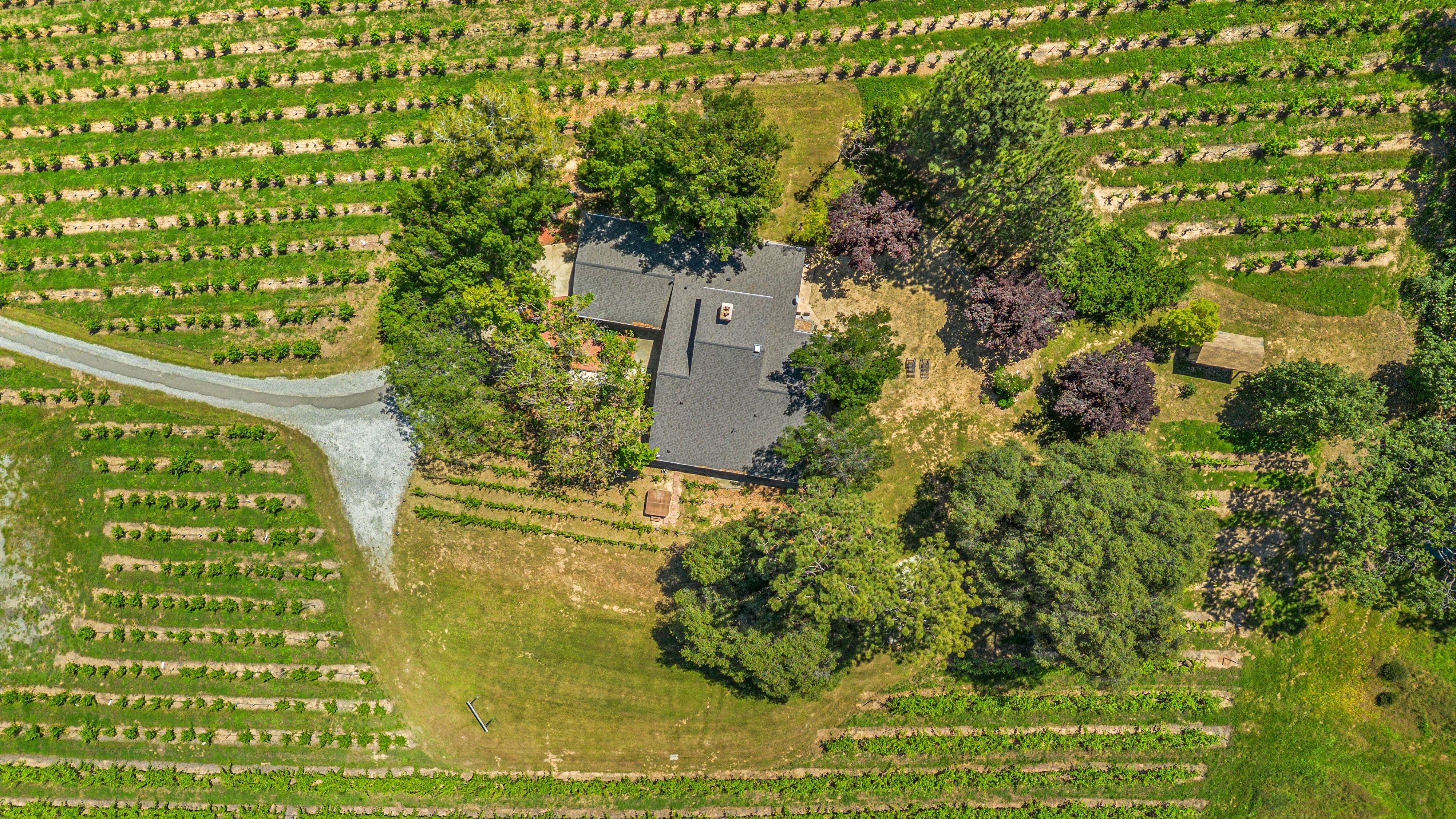  7460 Fairplay Road, Somerset, CA 95684 - 物件實景