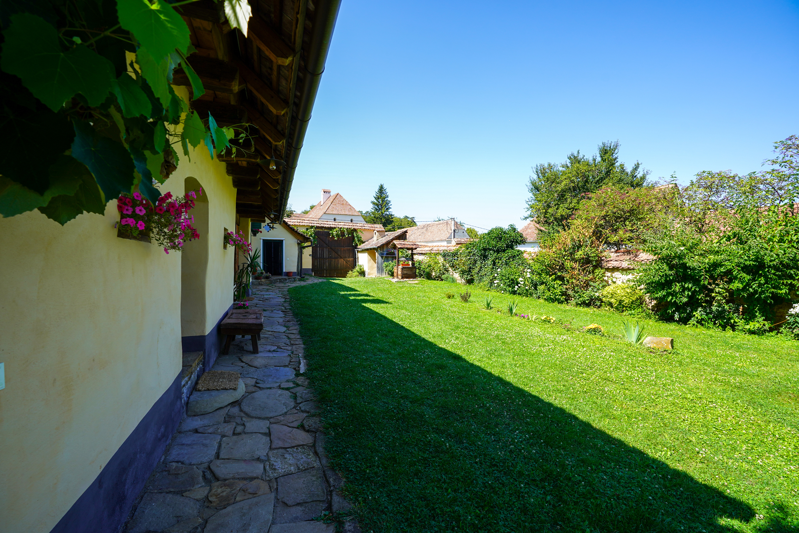  Restored Authentic Saxon House in Viscri, Between Heritage and Nature - 物件實景