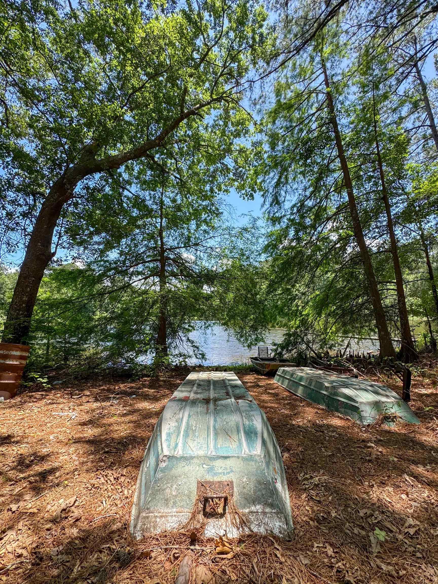 Douglassville, Texas, 75560, United States, ,Land,For Sale,2048006