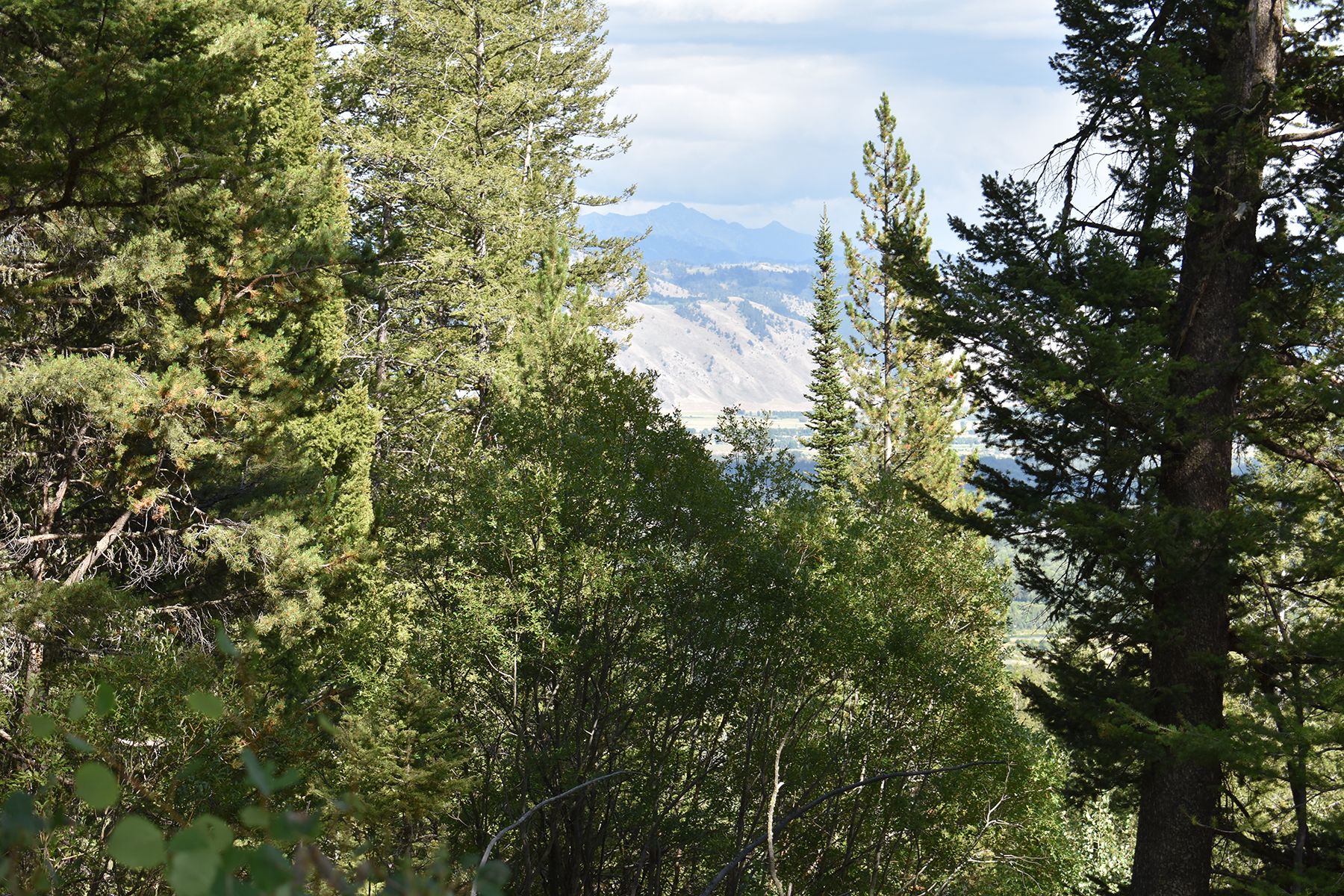  Wilson Acreage Bordering Bridger-Teton National Forest - 物件實景