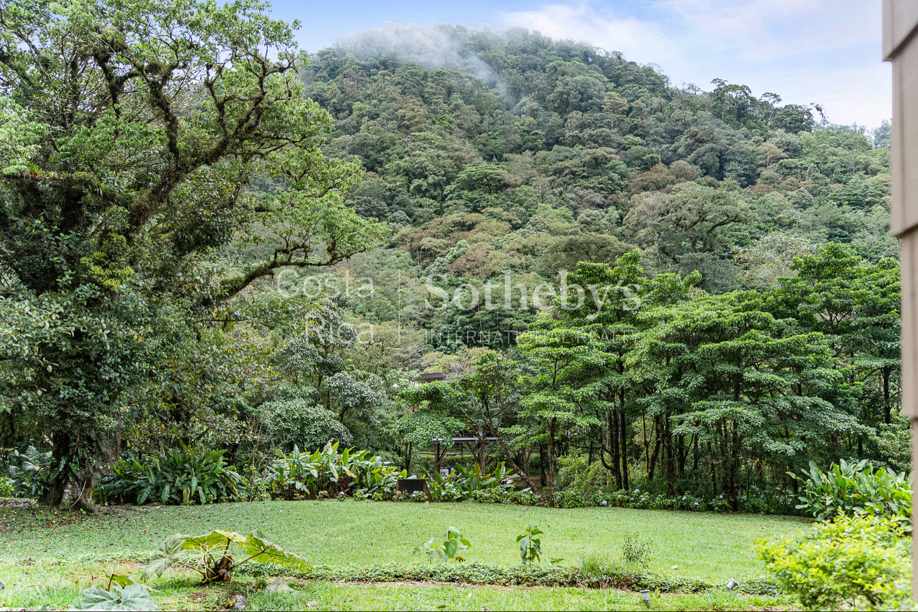  El Silencio Forest Luxe Retreat - 物件實景