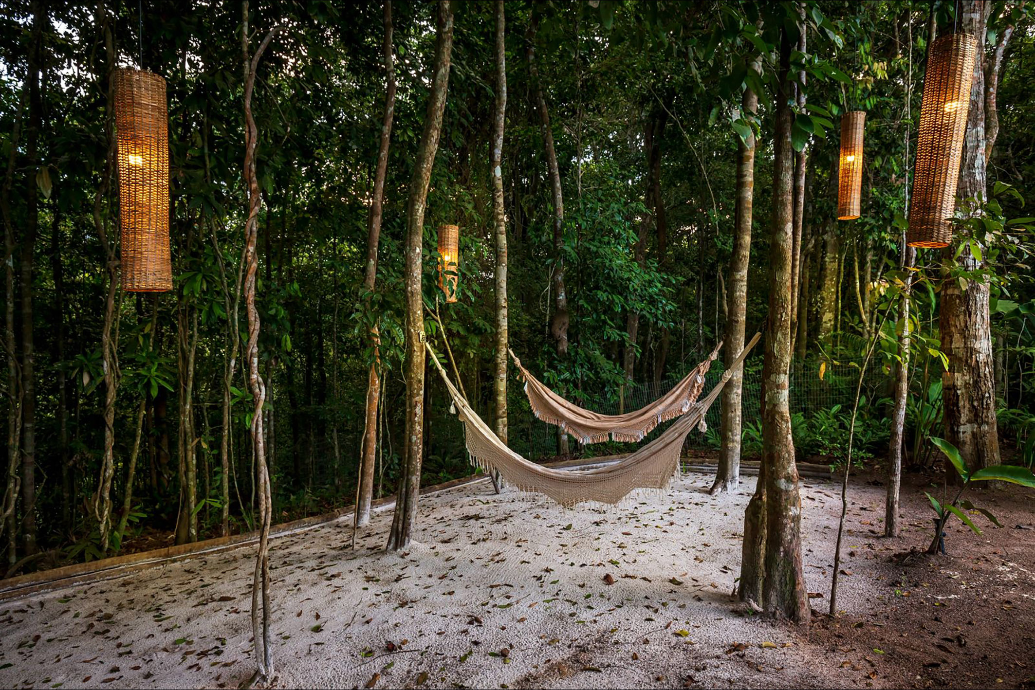  Refined residence with sophisticated interiors and native forest views - 物件實景