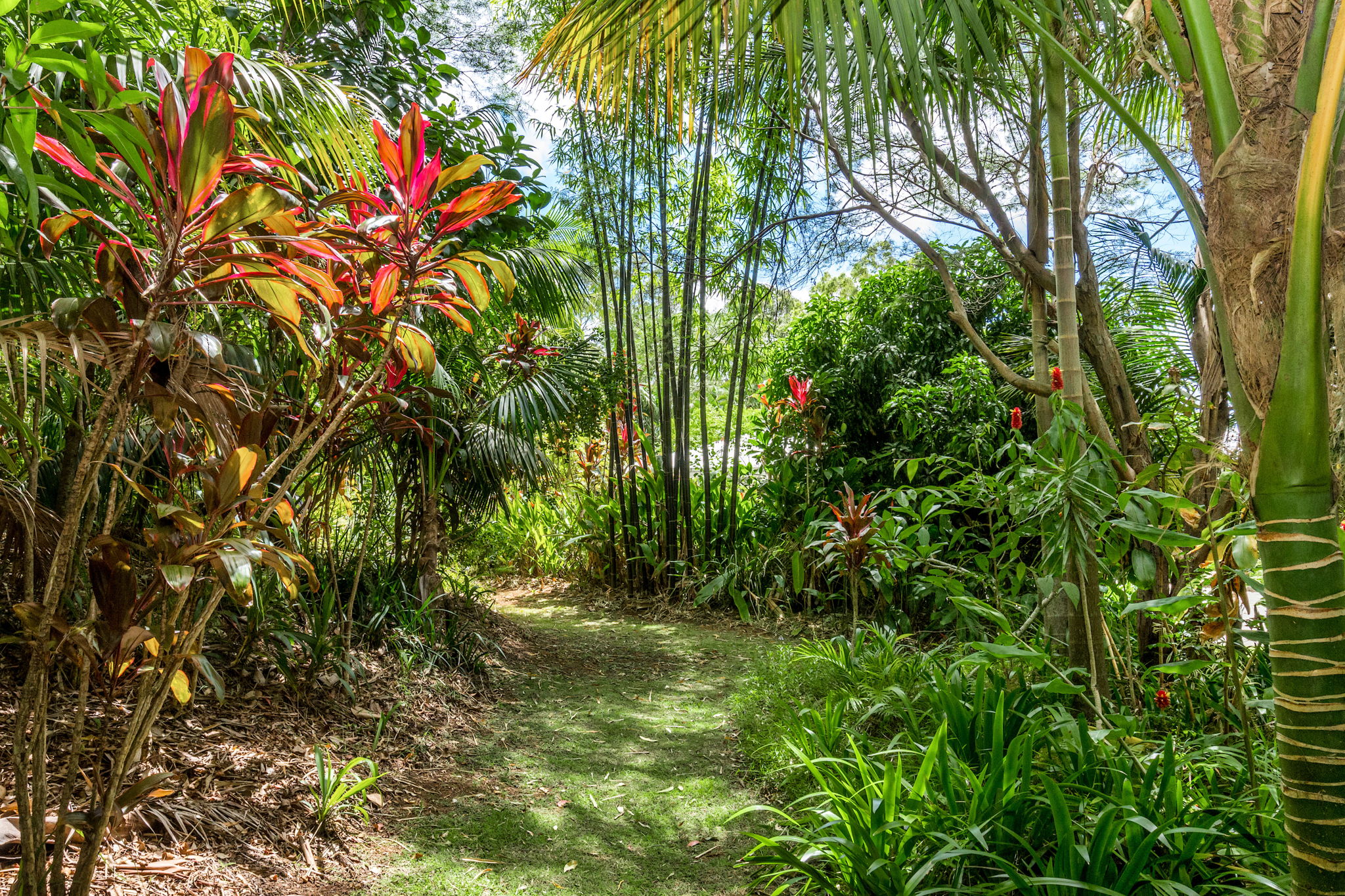  382 Old Byron Bay Road, Newrybar - 物件實景