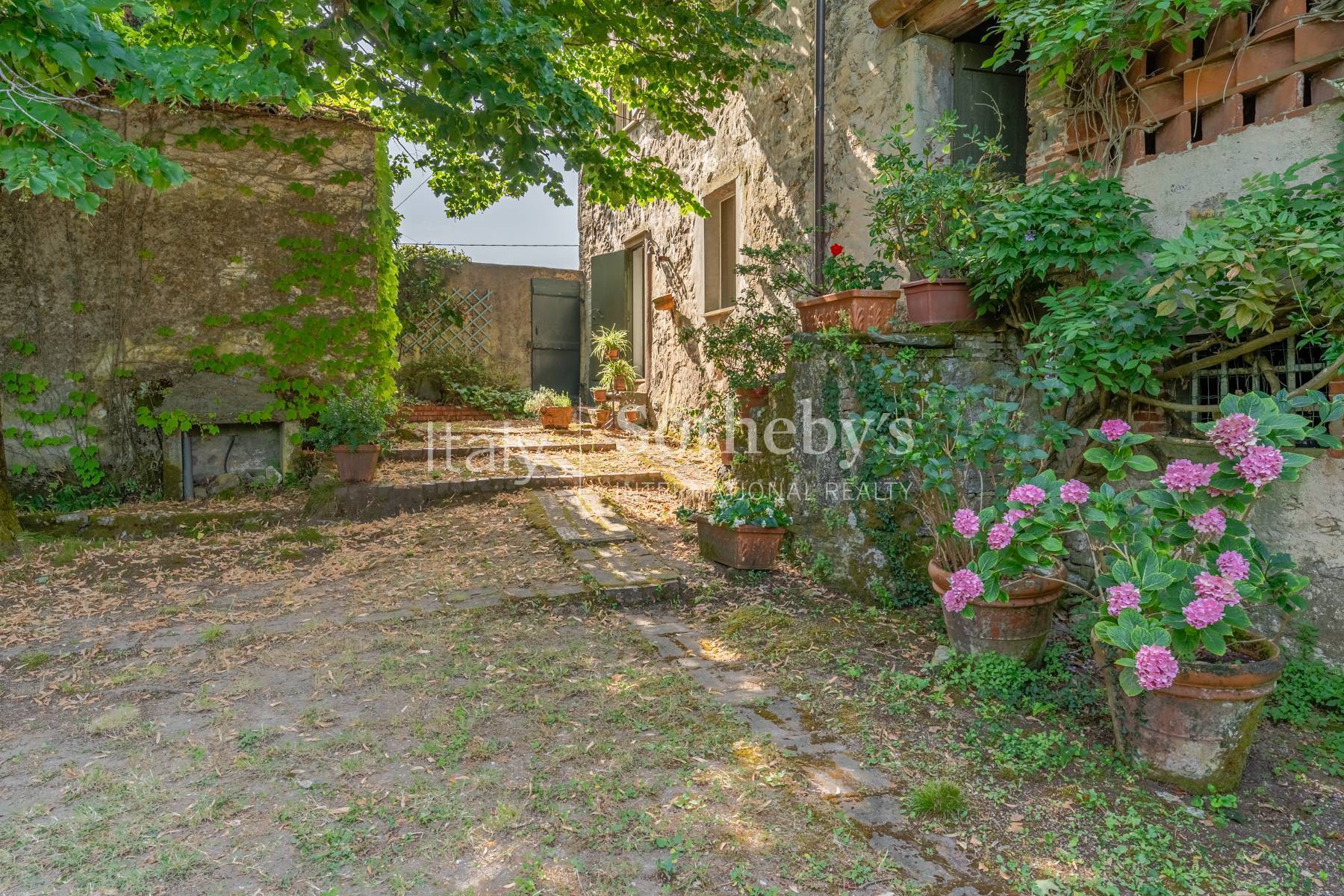  Ancient country villa on the hills of Lucca - 物件實景