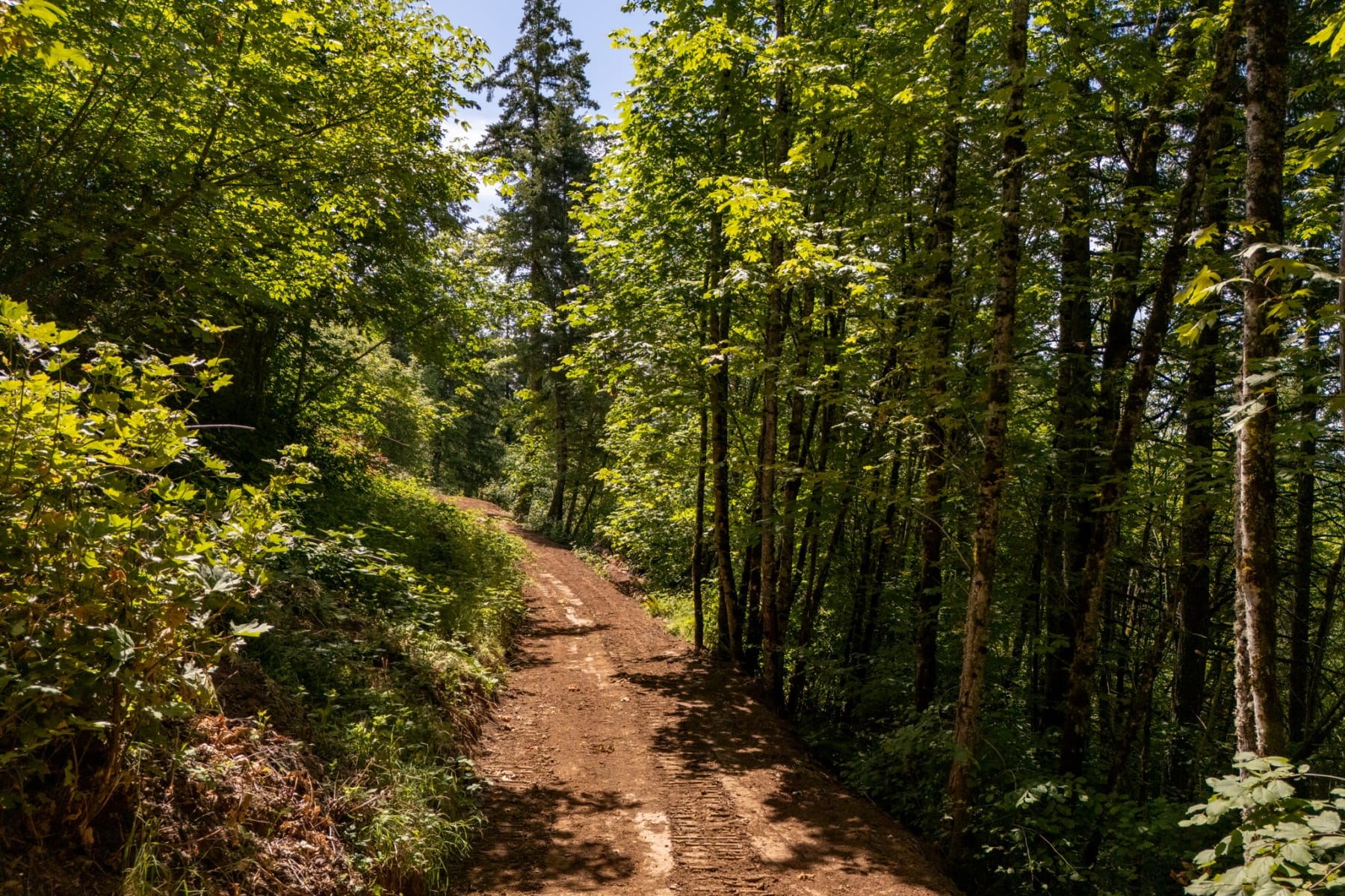  30540 NE BELL RD Newberg, OR 97132 - 物件實景