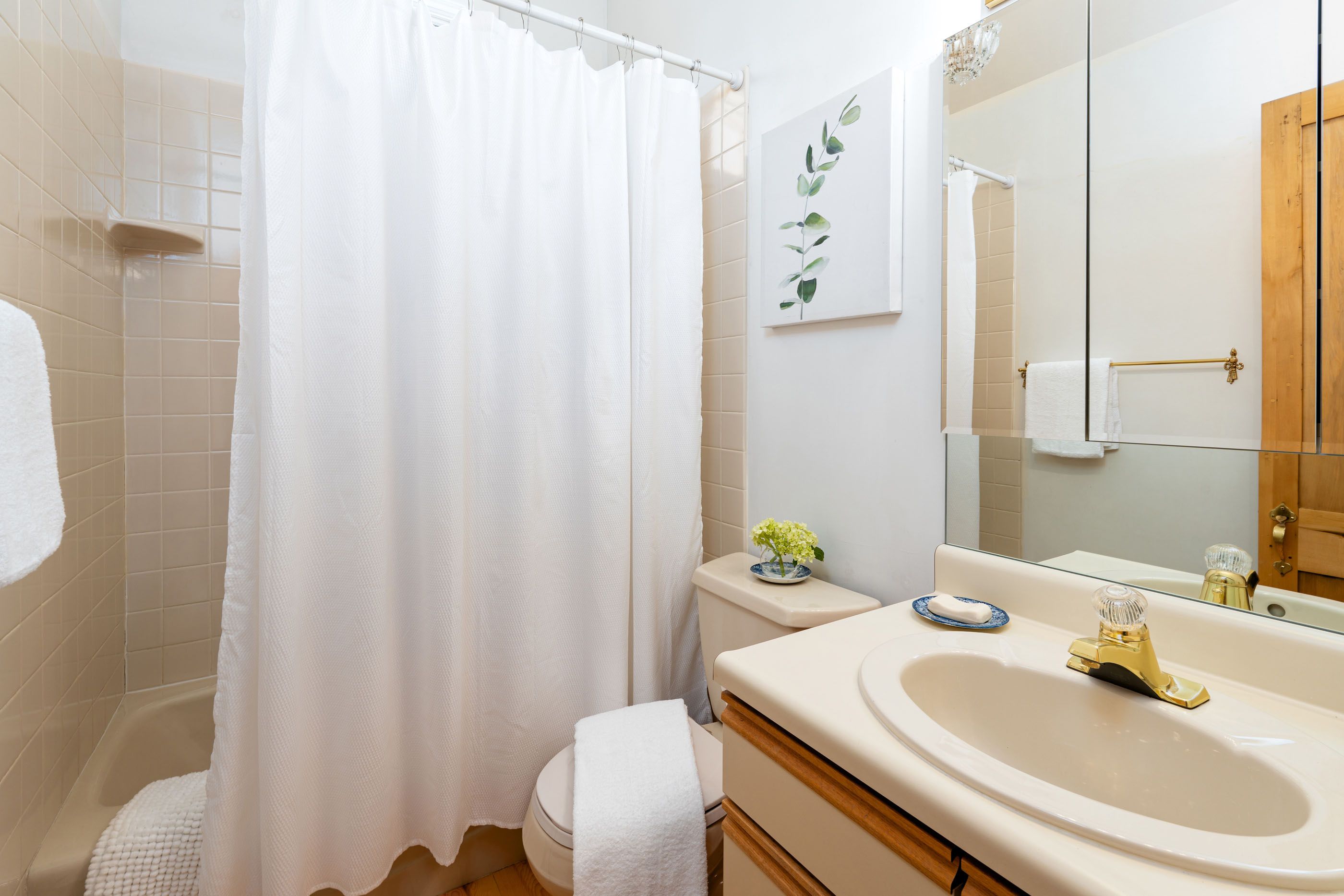  679 Brush Creek Road, Aspen, CO 81611 - 物件實景