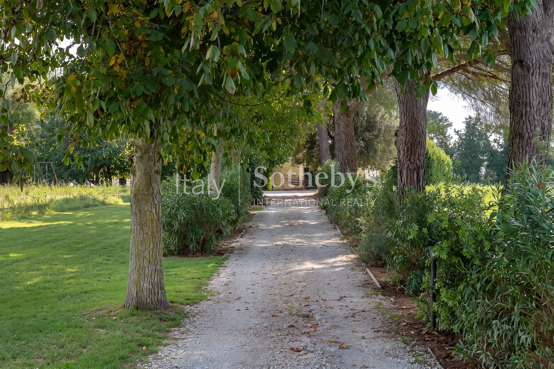  Charming Country Estate with Pool and Olive Grove in Maremma - 物件實景