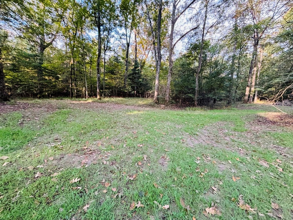 Abbeville, Georgia, 31001, United States, ,Land,For Sale,1975130