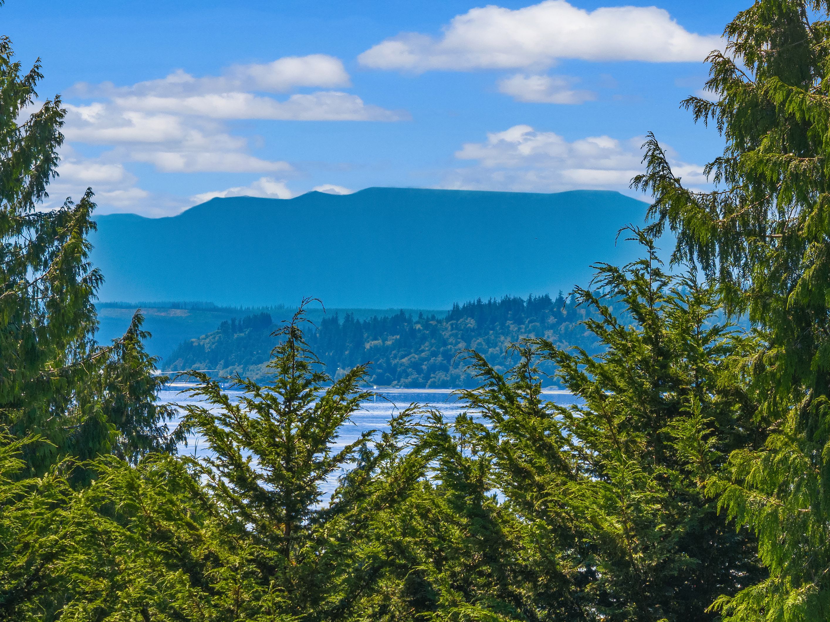  34059 Bridge View Dr NE, Kingston, WA 98346 - 物件實景