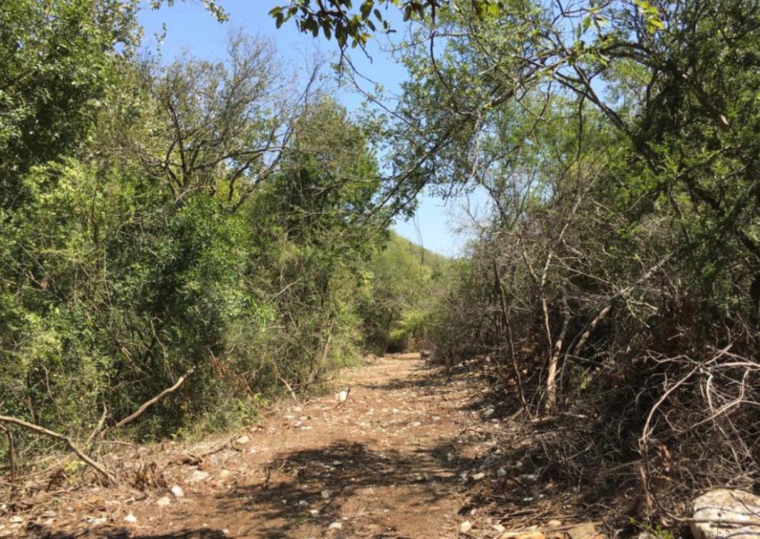 El Barrial, Santiago, Nuevo León, 67323, Mexico, 1 Bedroom Bedrooms, ,Residential,For Sale,El Barrial,1621120